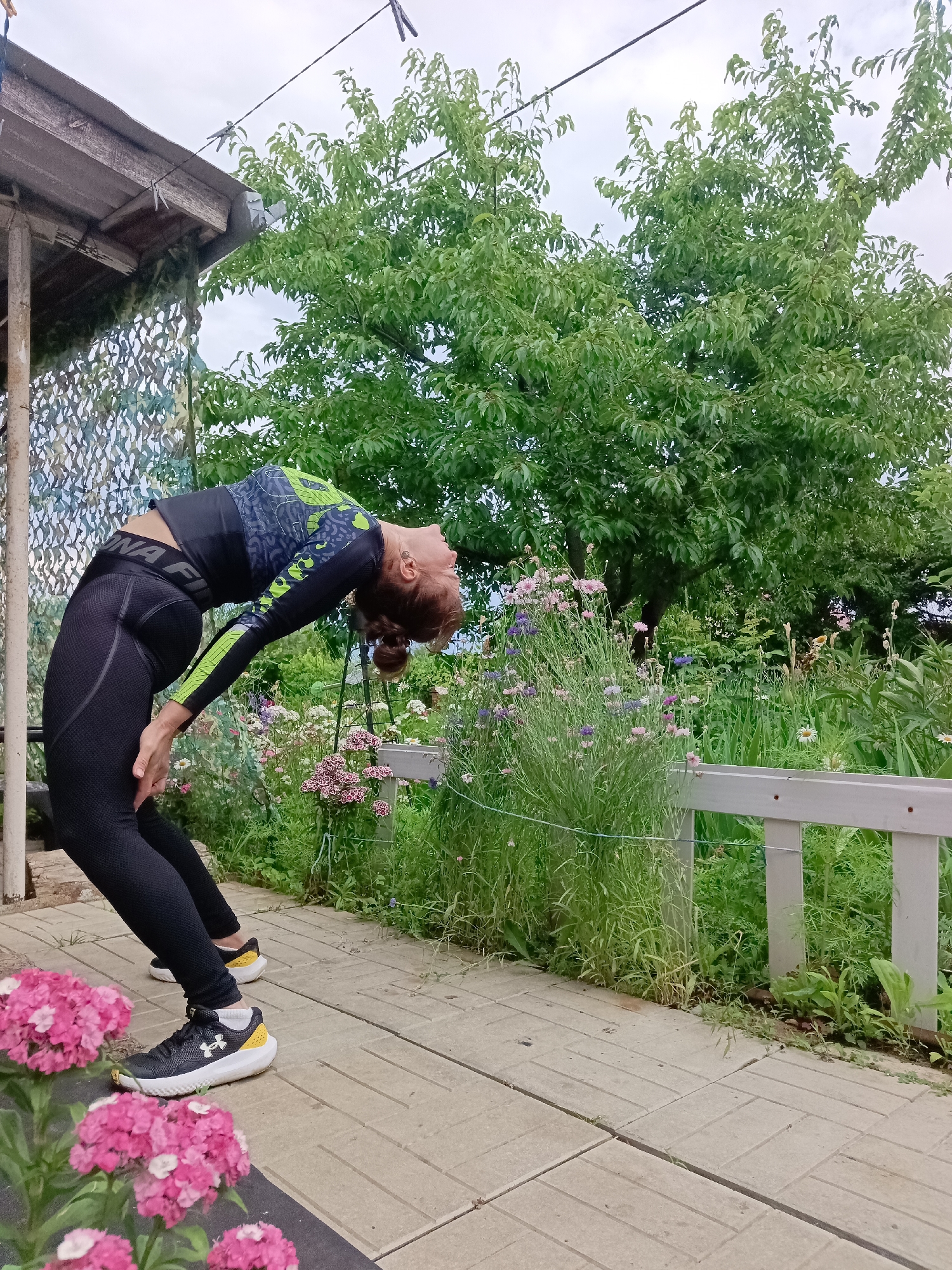 Morning workout, fresh strawberries, and a lazy cat in Vyazovka