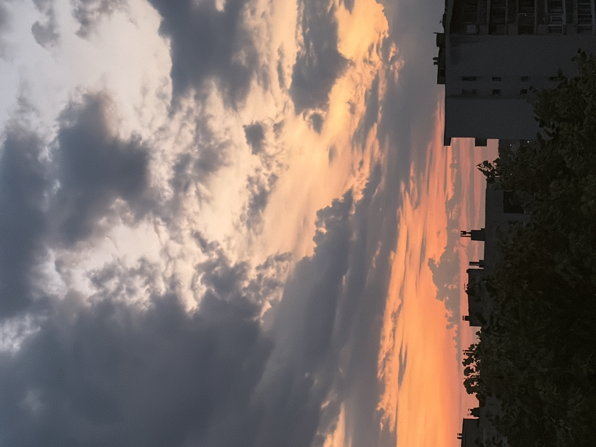 Dobrich sunset evening with pets at home