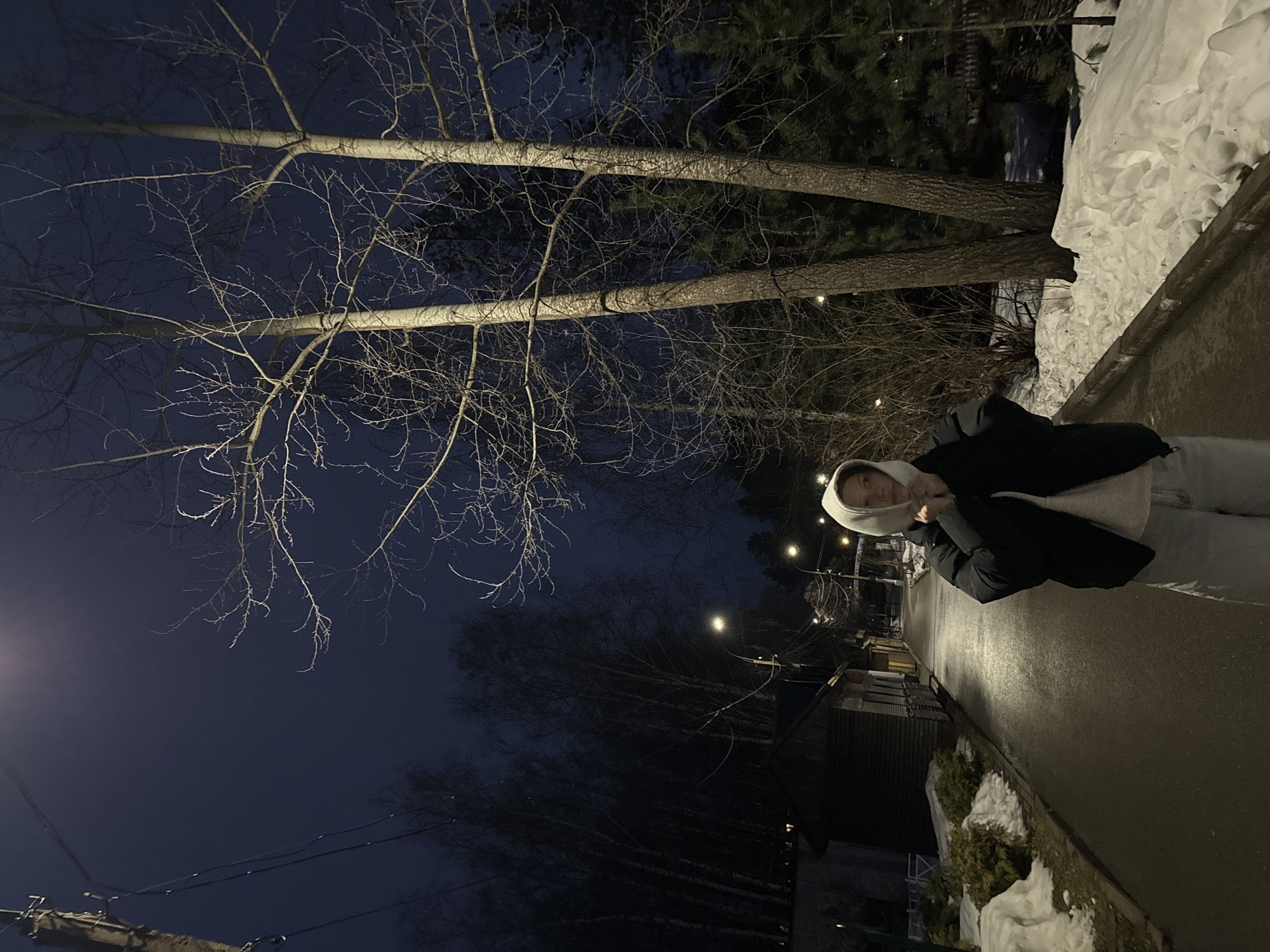 Evening life documented in Chaikovsky: parks, pets, local landmarks