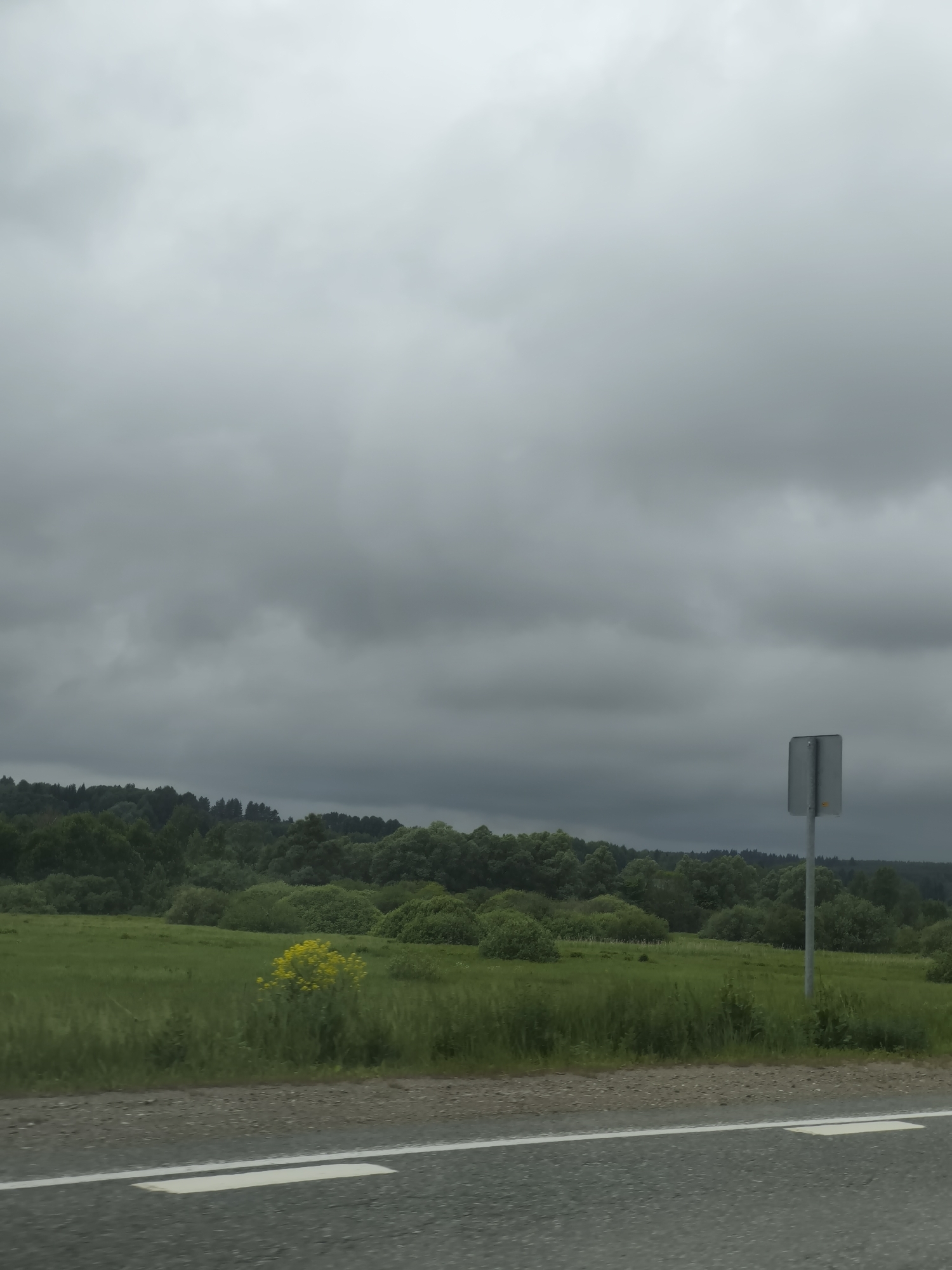 Rural landscape observed under overcast skies near Niva, Russia