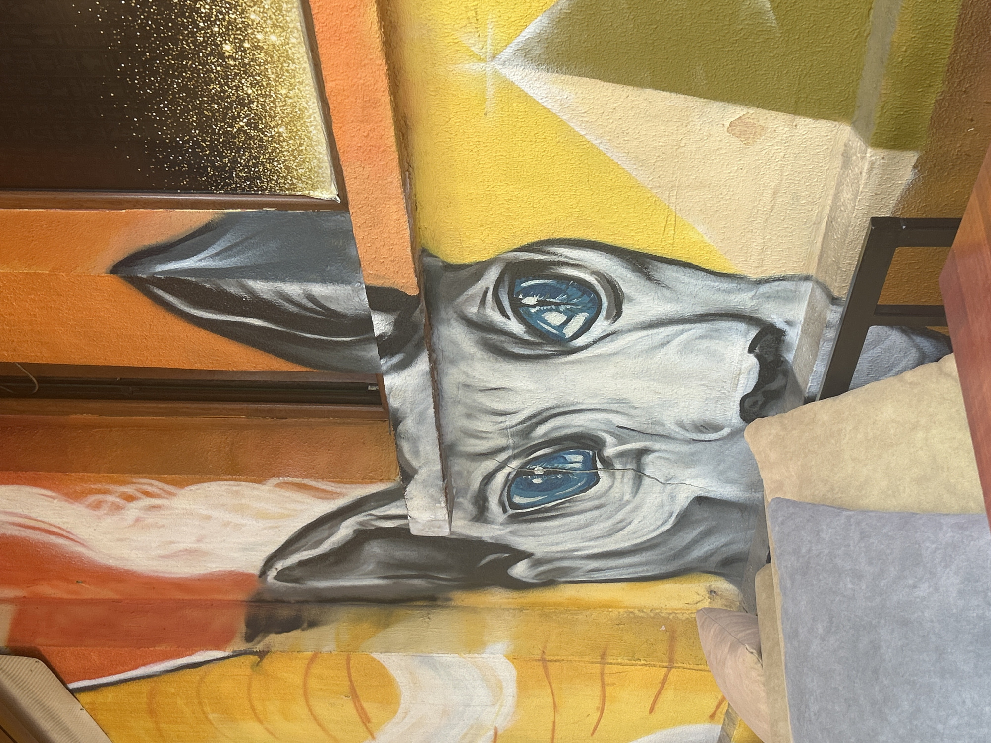 Cafe with upside-down animal mural and hookah documented