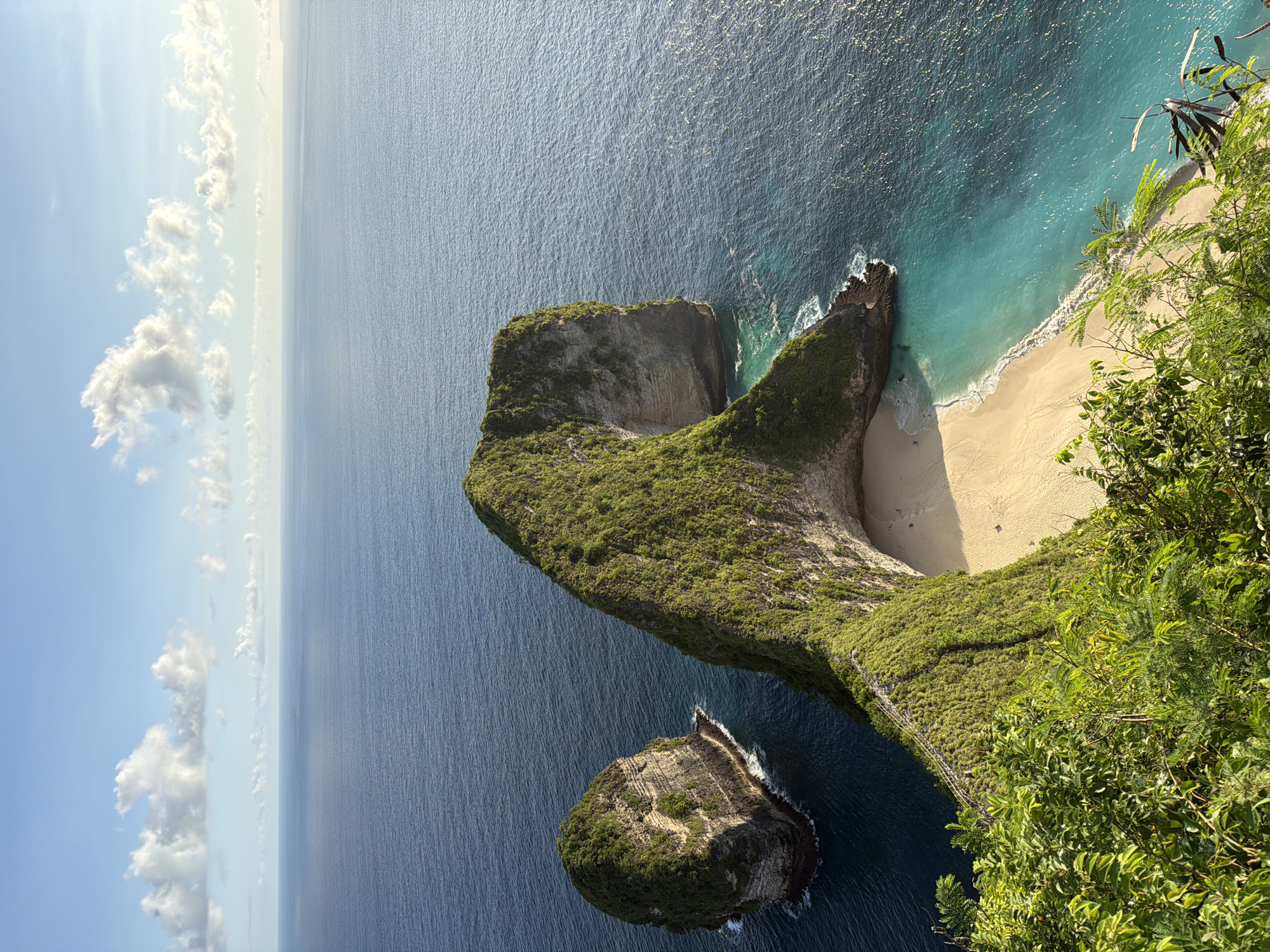 Tourists capture Nusa Penida coastal scenery and monkey feeding