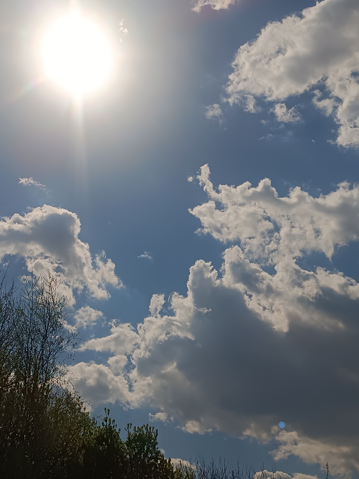 Outdoor barbecue gathering documented in Motyakovo, Russia on sunny afternoon