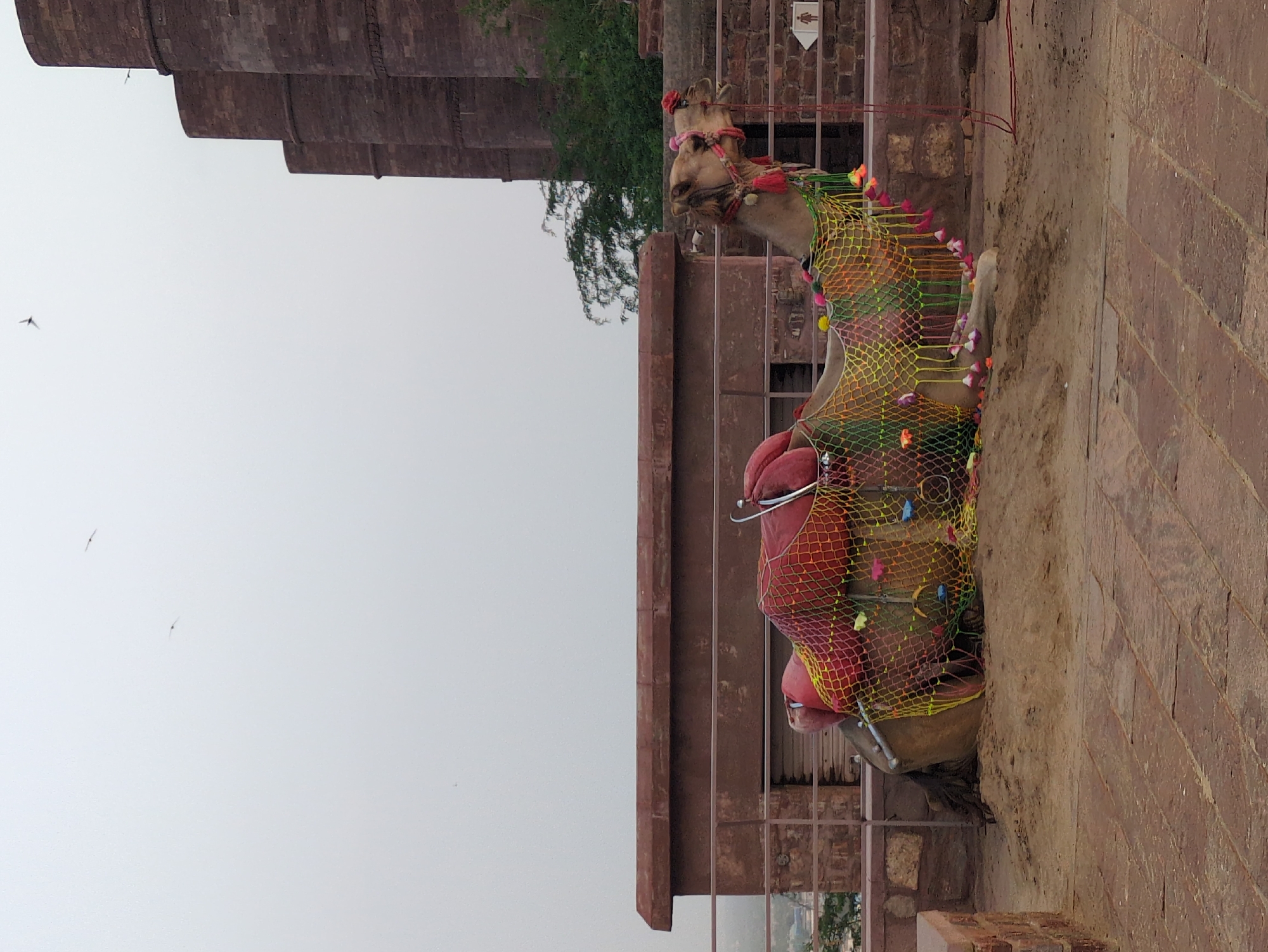 Jodhpur up close: forts, blue streets, and city views