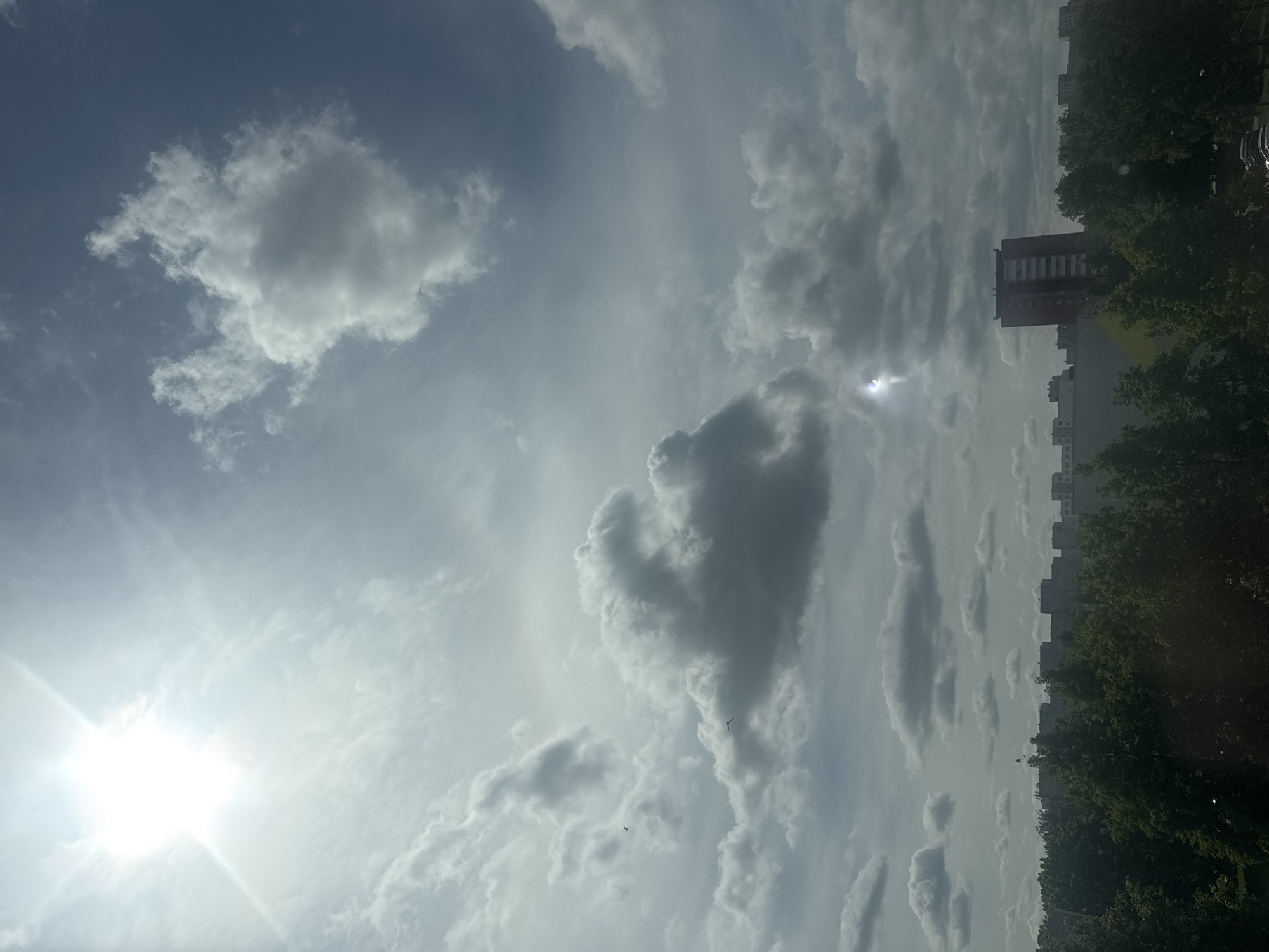 Tallinn resident captures everyday moments: dramatic skies, tabby cat, Friends mug