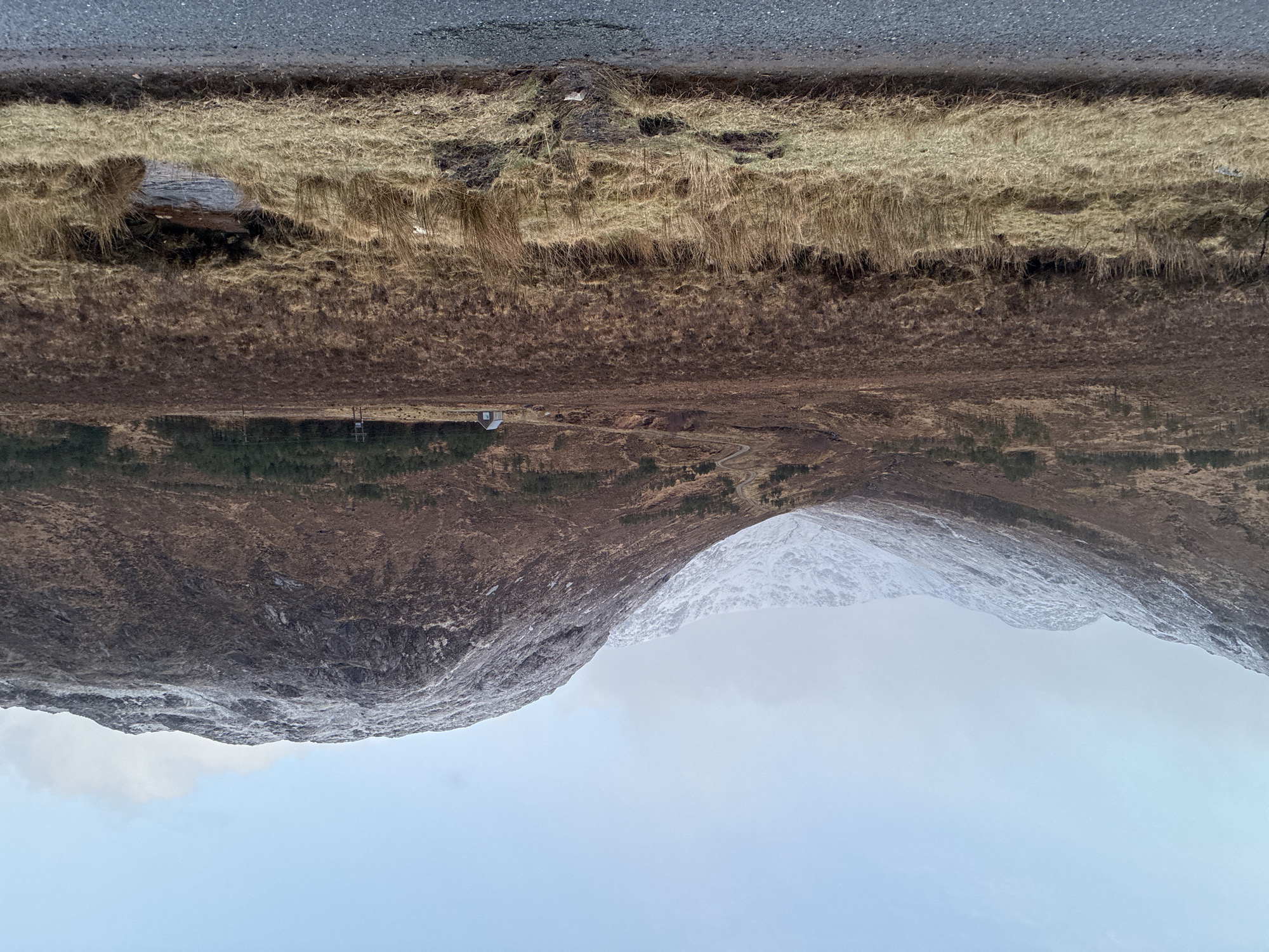Morning landscape documented along Fort William roadway
