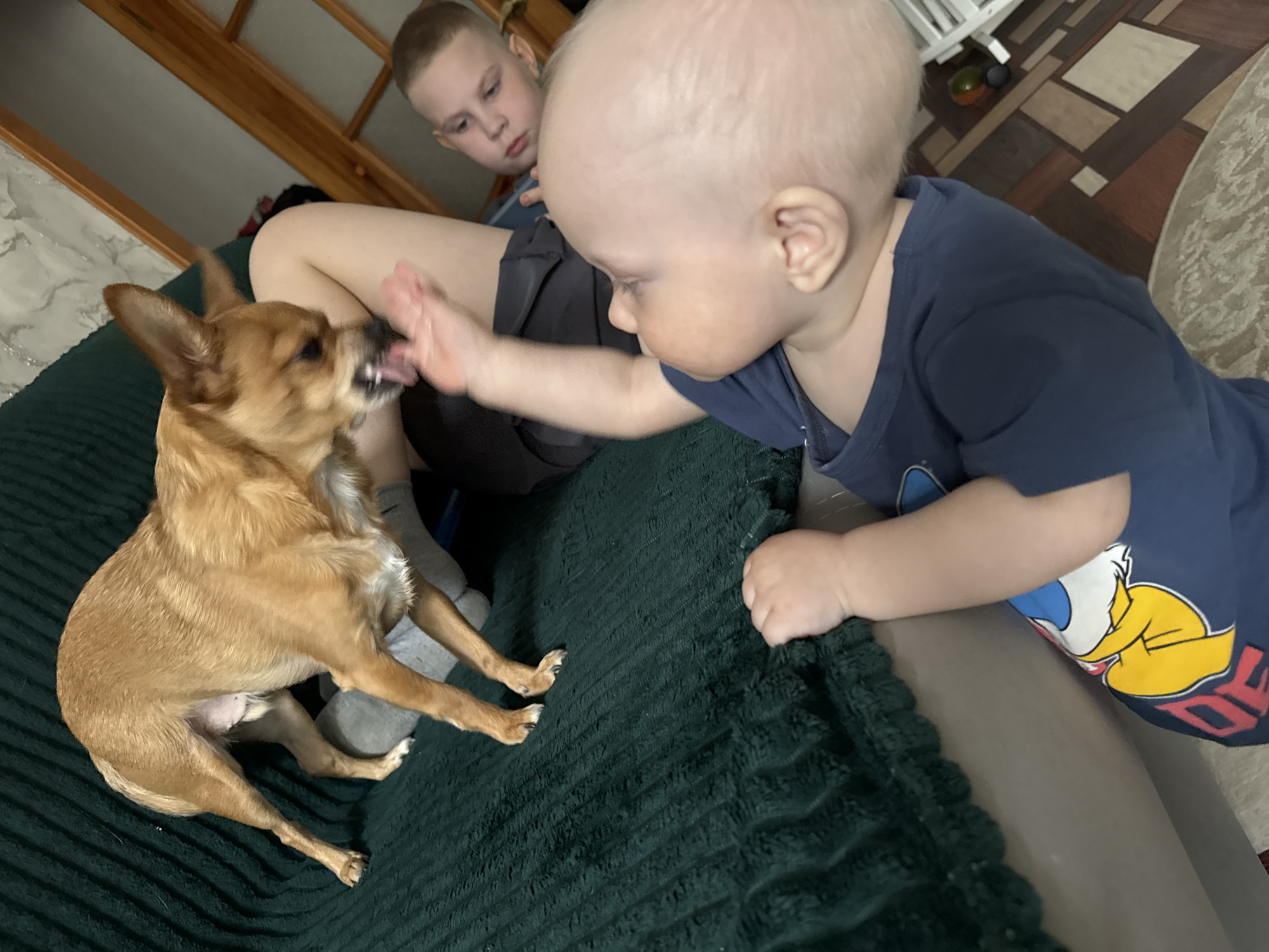 Morning family life documented in Chaikovsky, Russia homes