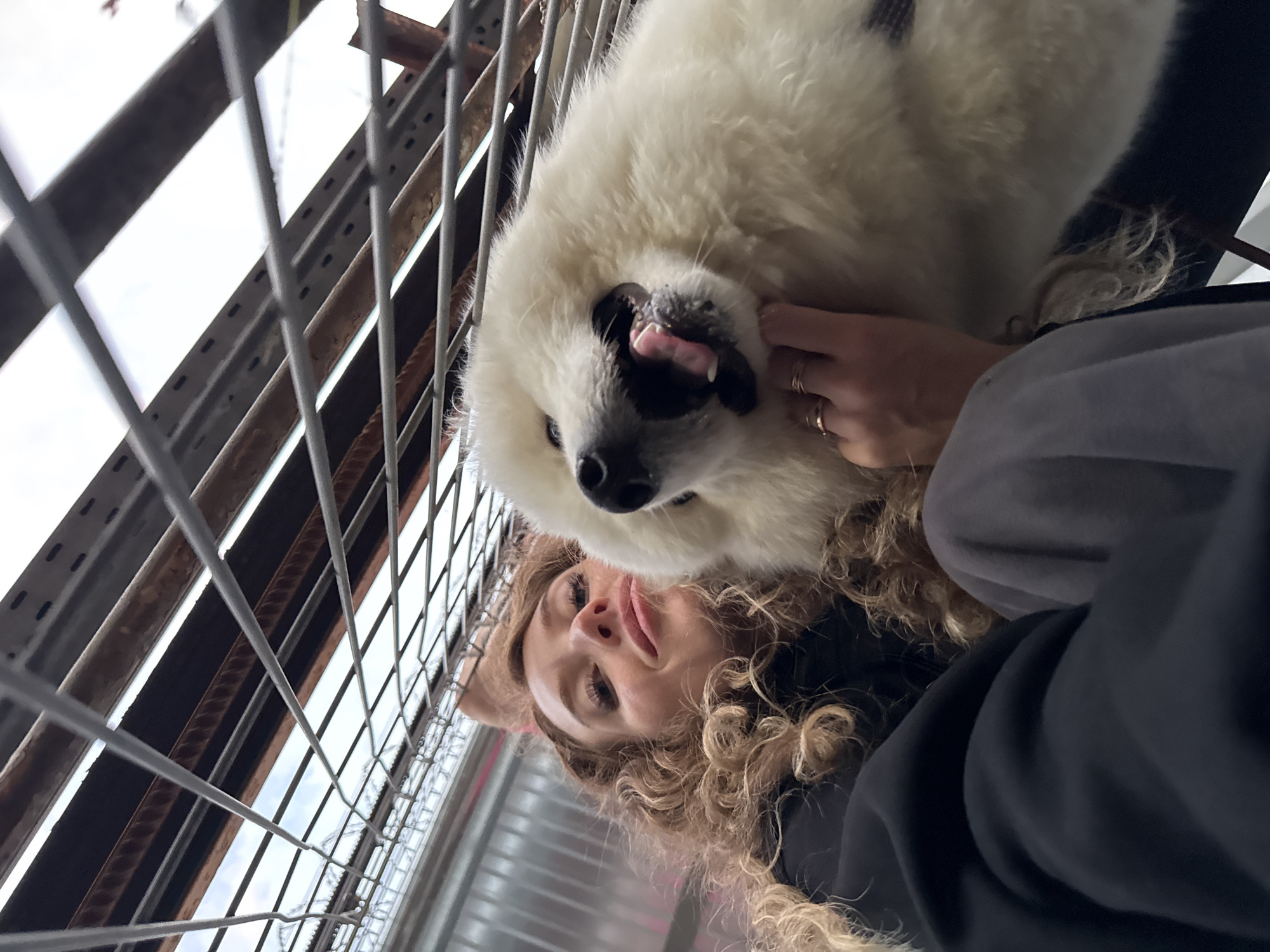 Samoyed cuddles and industrial waterway scenes in Chaikovsky