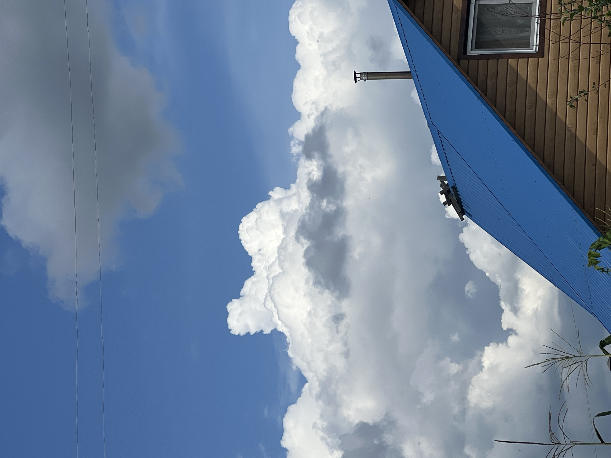 Garden close-ups and big summer skies in Mochishche