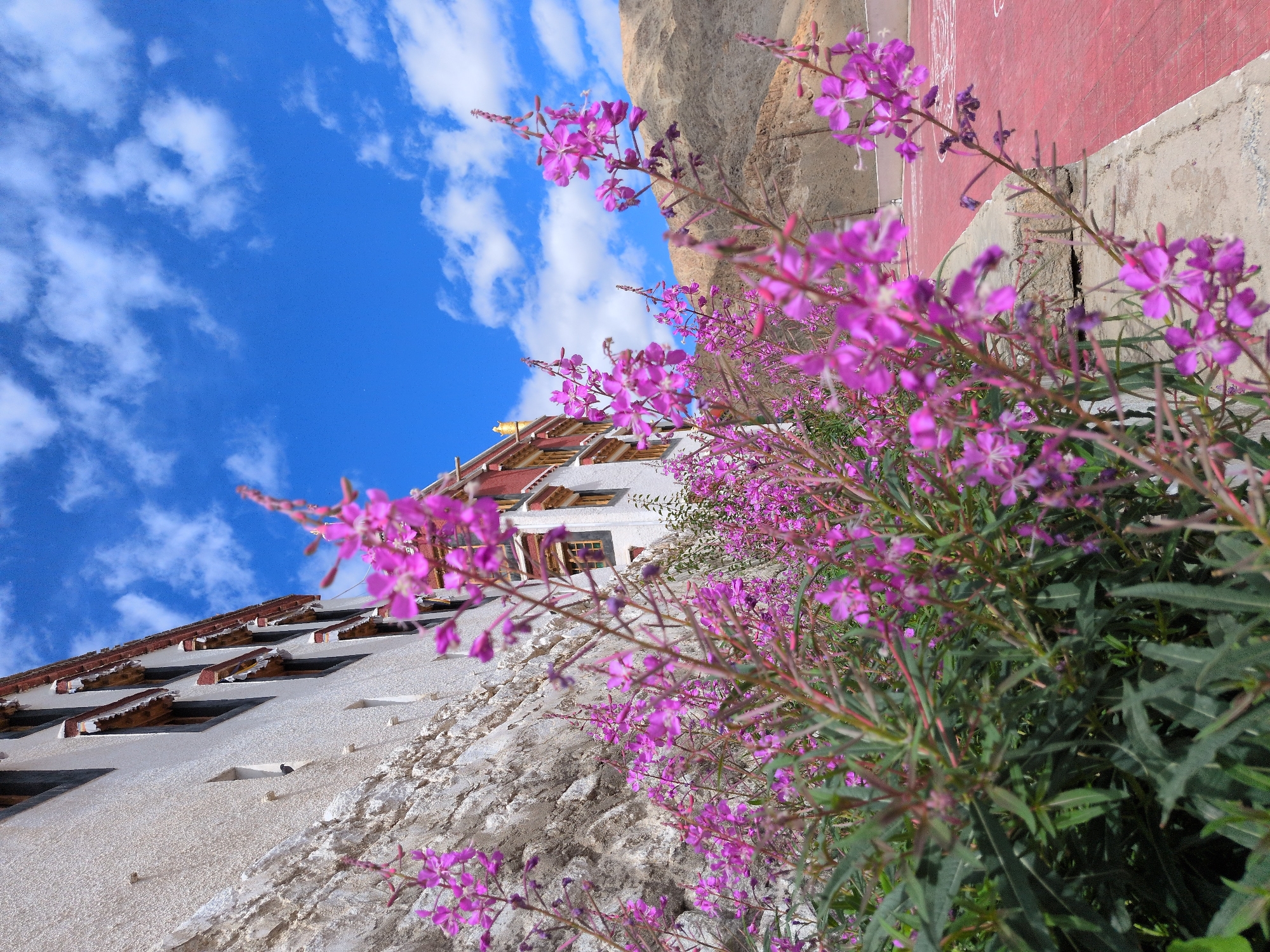 Monasteries, wildflowers, and mountain villages in Ladakh