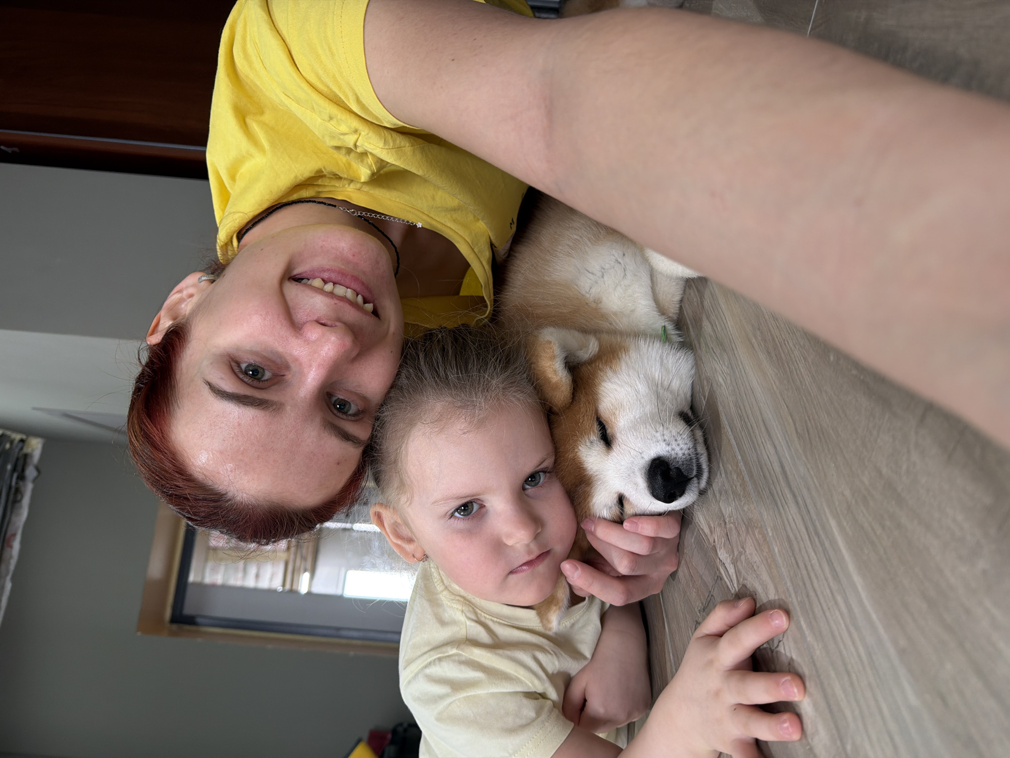 Quiet morning moments captured across Chaikovsky households