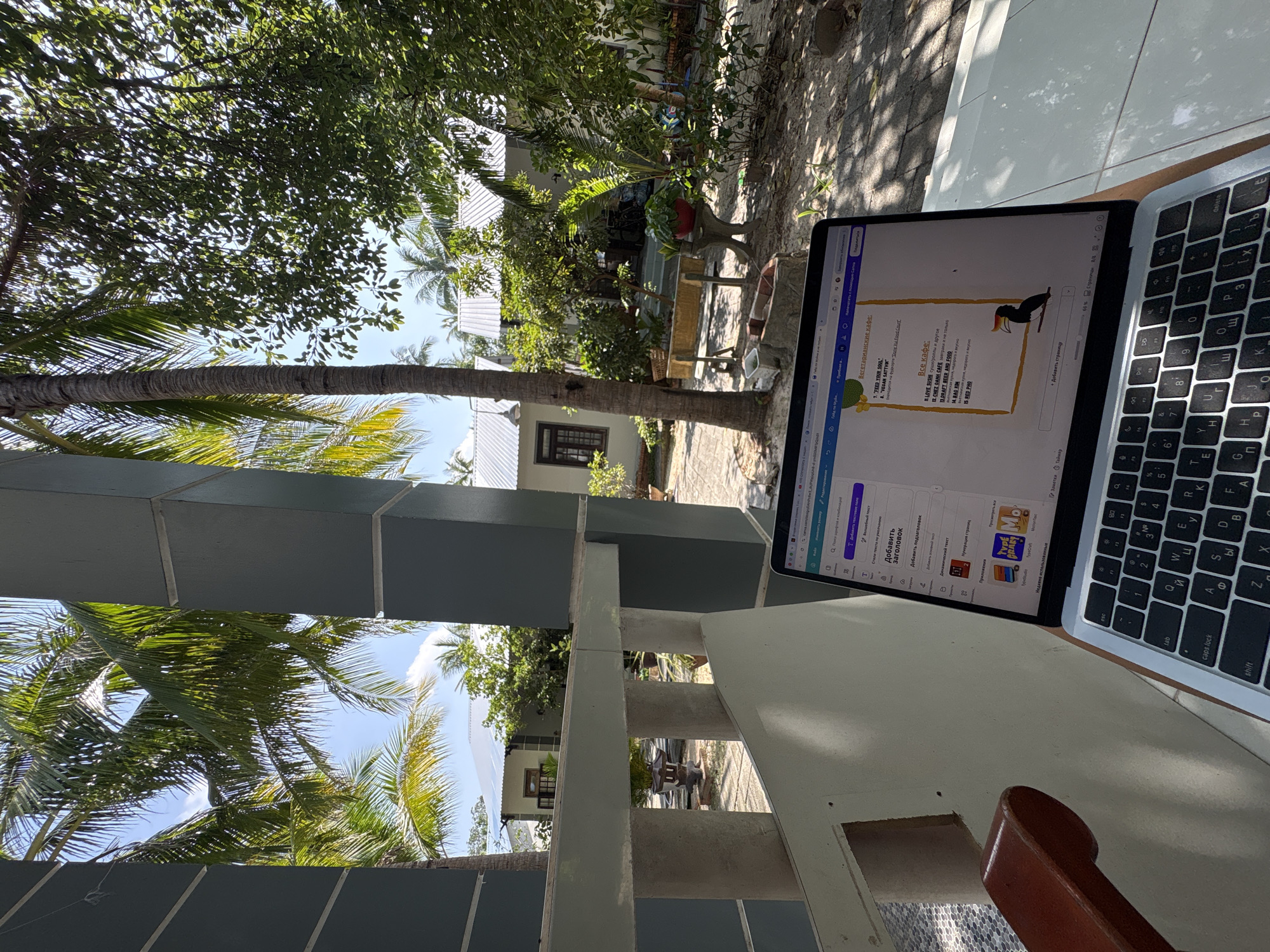 Lazy morning in Mũi Né: work, selfies, and a Sphynx cat