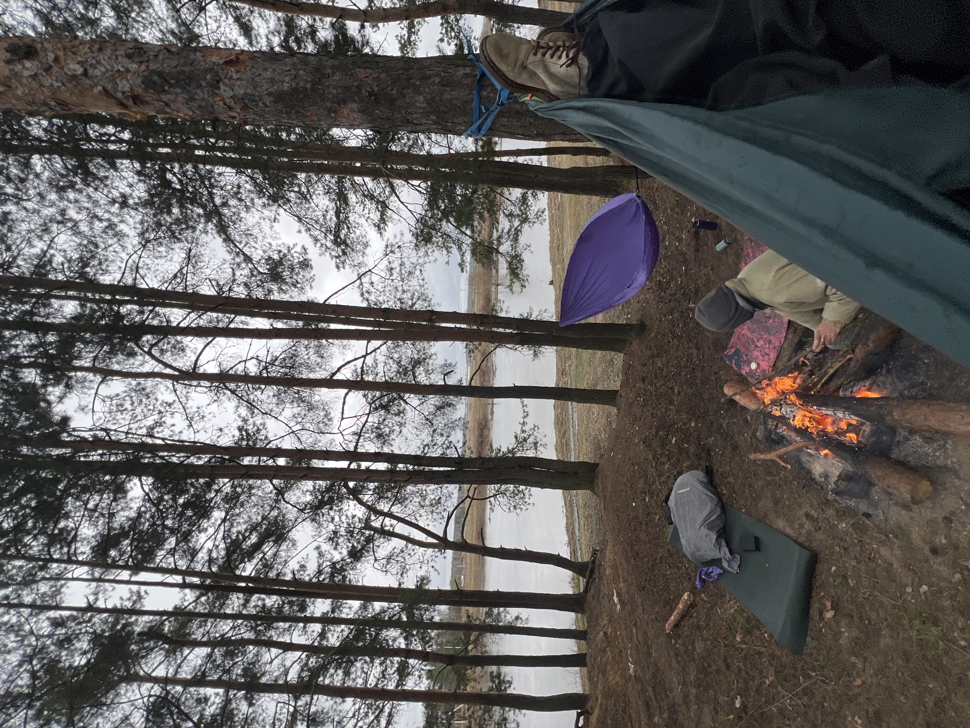 Forest camping scene observed near Красная Дубрава, Russia