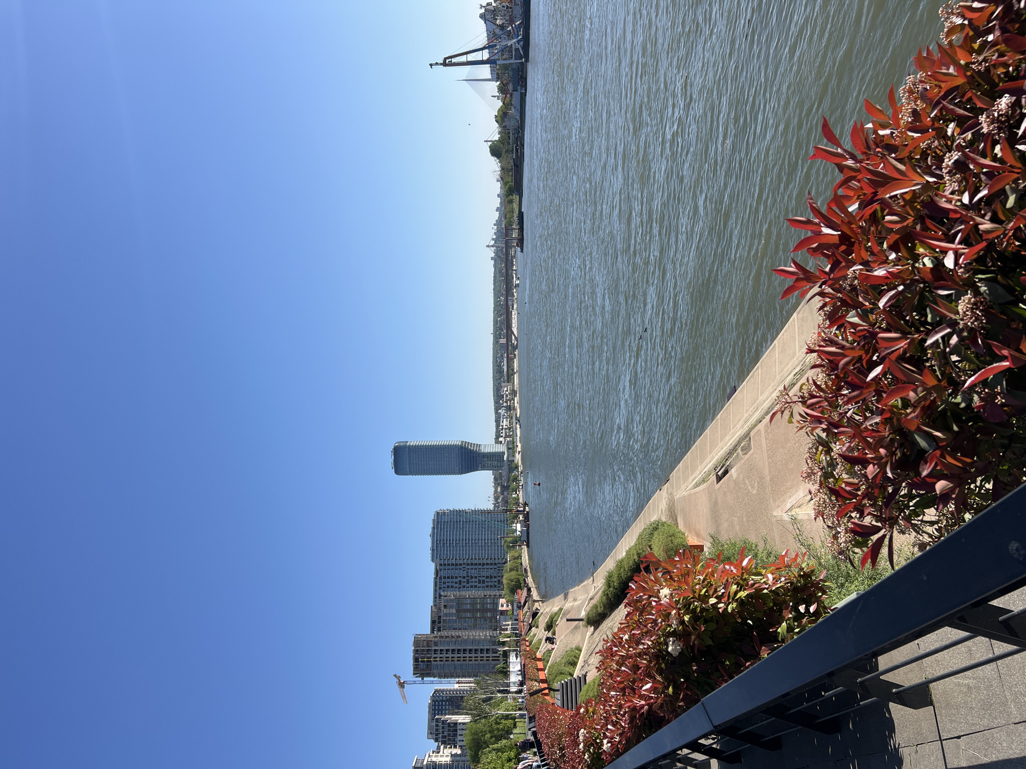 Riverside observations captured along Belgrade's Sava River promenade