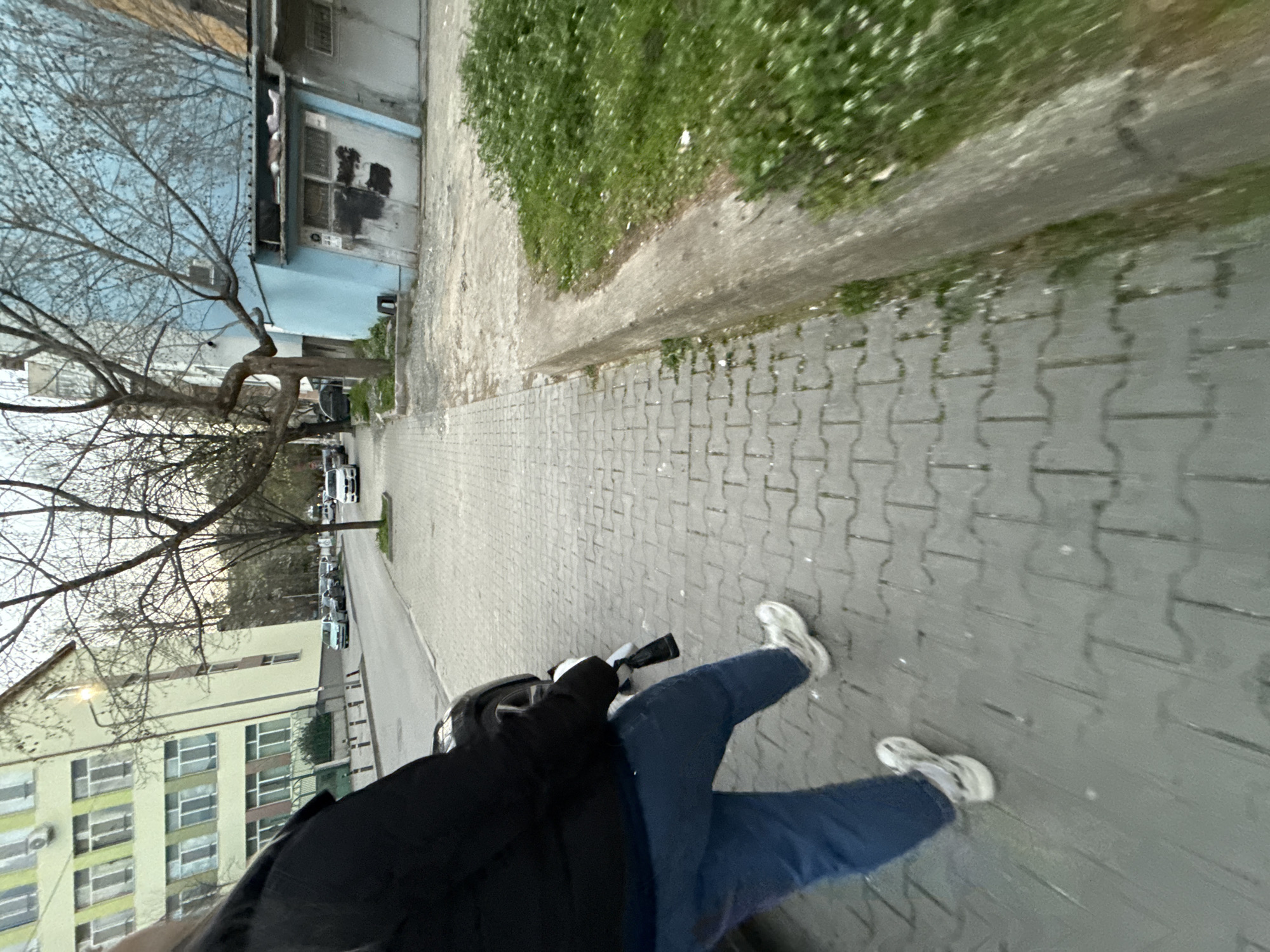 Dog walker strolls through Stara Zagora on spring afternoon
