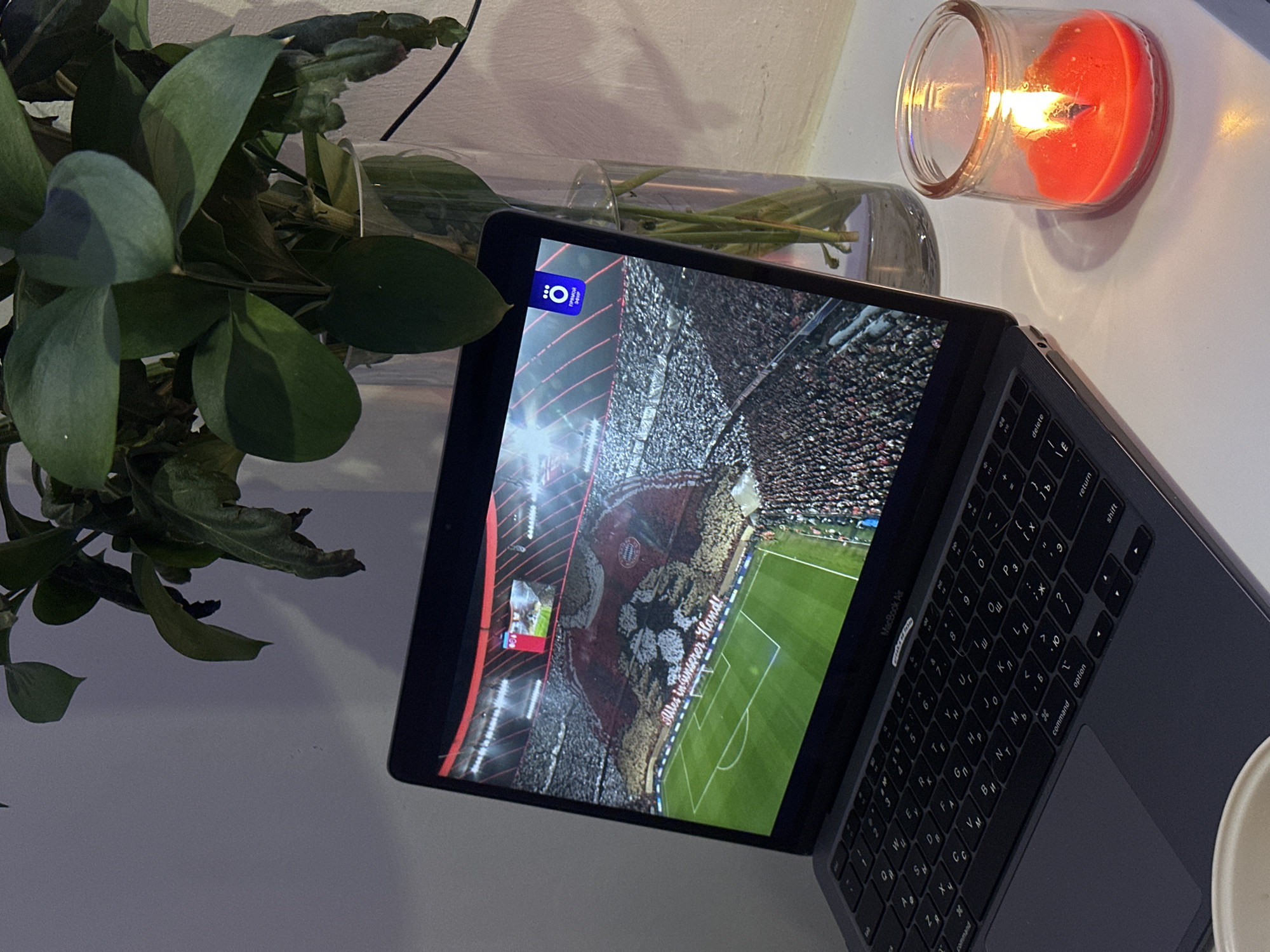 Moscow resident captures laptop soccer viewing with plant
