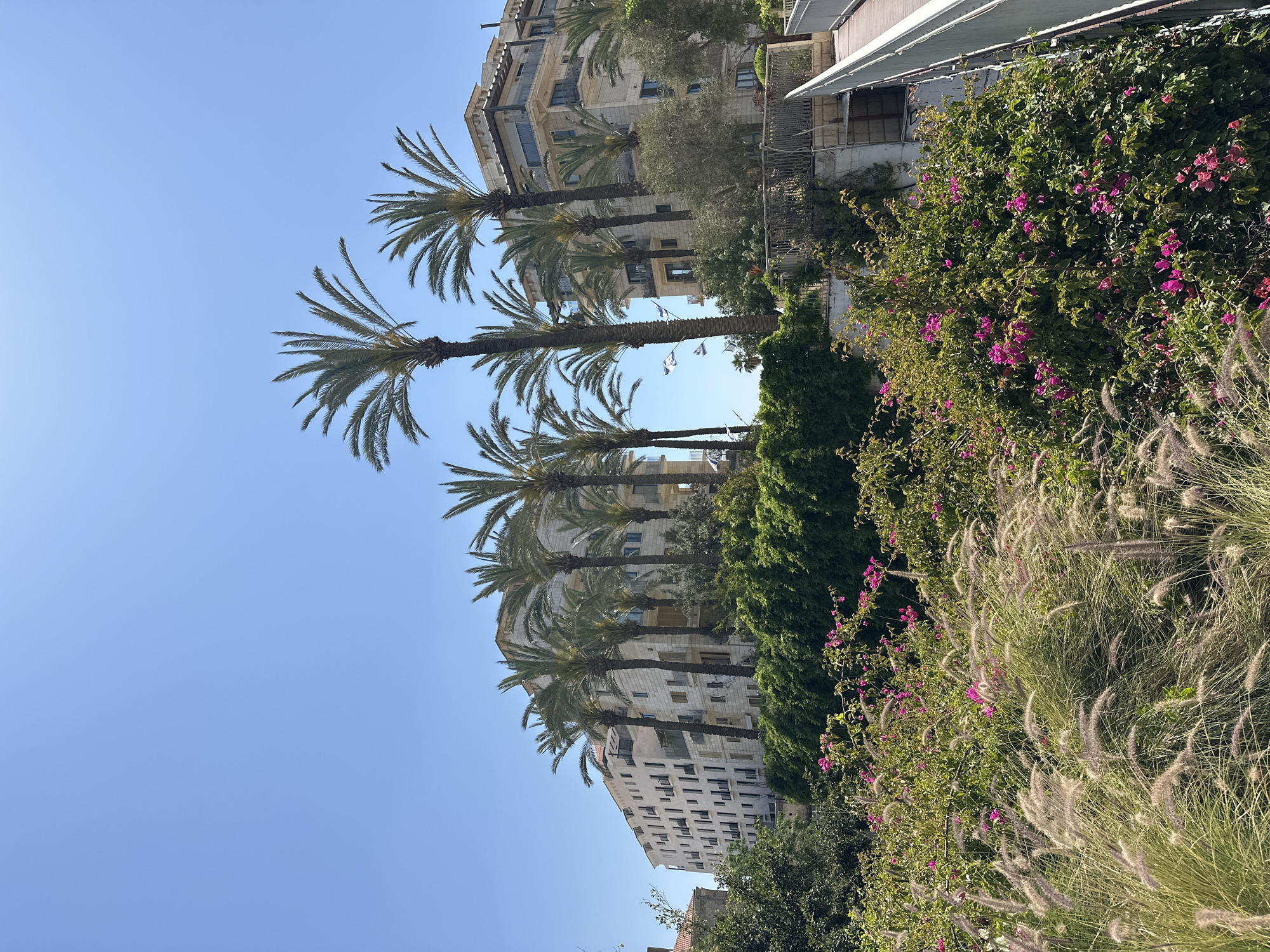 Urban landscaping documented in Tel Aviv under sunny skies