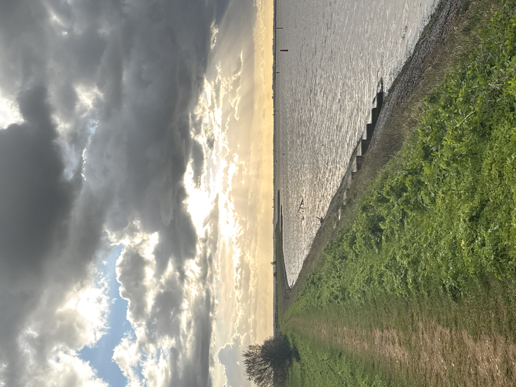 Dramatic weather and spring daffodils captured at Great Yarmouth estuary