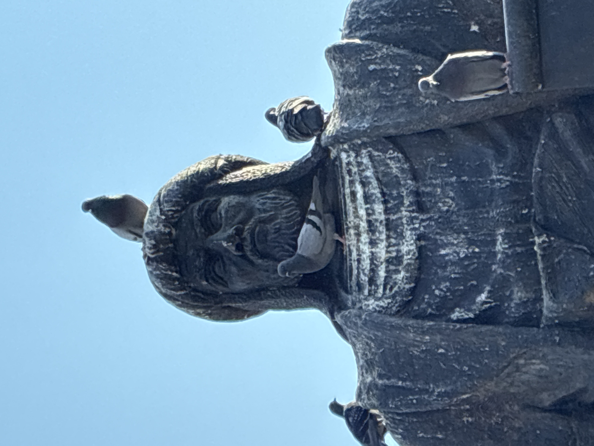 Pigeon-filled square around a historical statue in Alanya