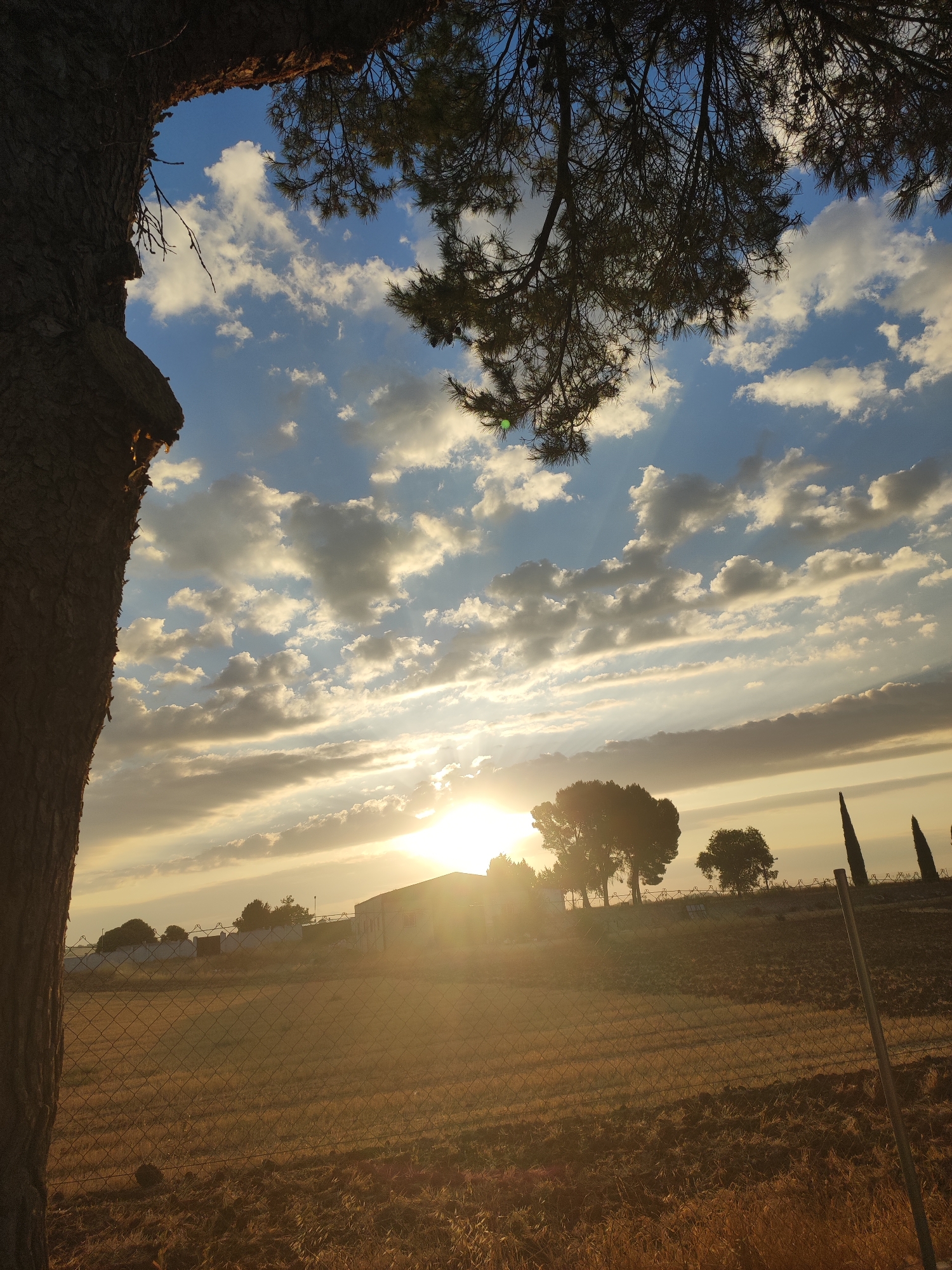 Camper van parked at sunset in rural Villarejo de Fuentes