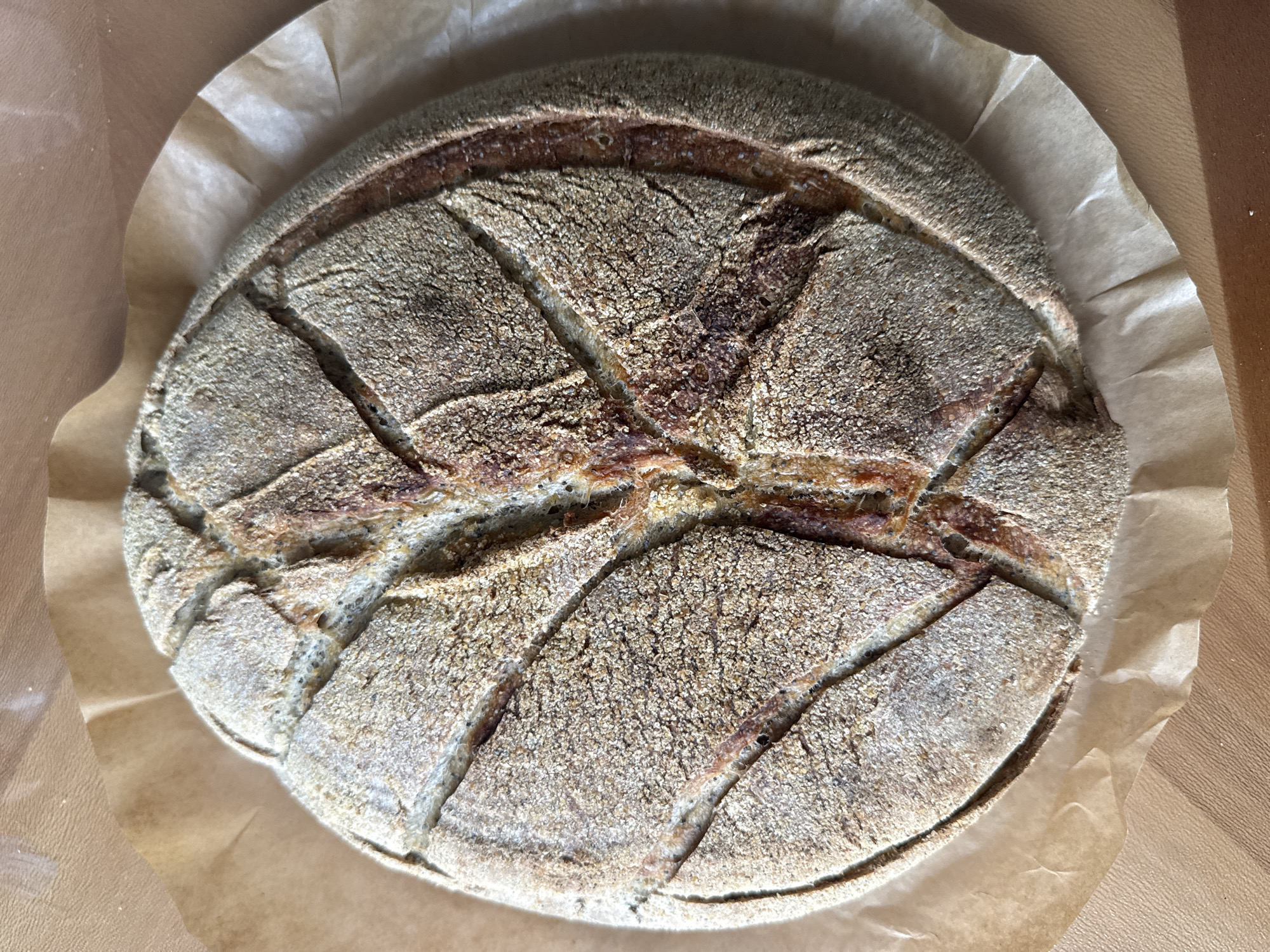 Freshly baked round loaf with leaf scoring on parchment