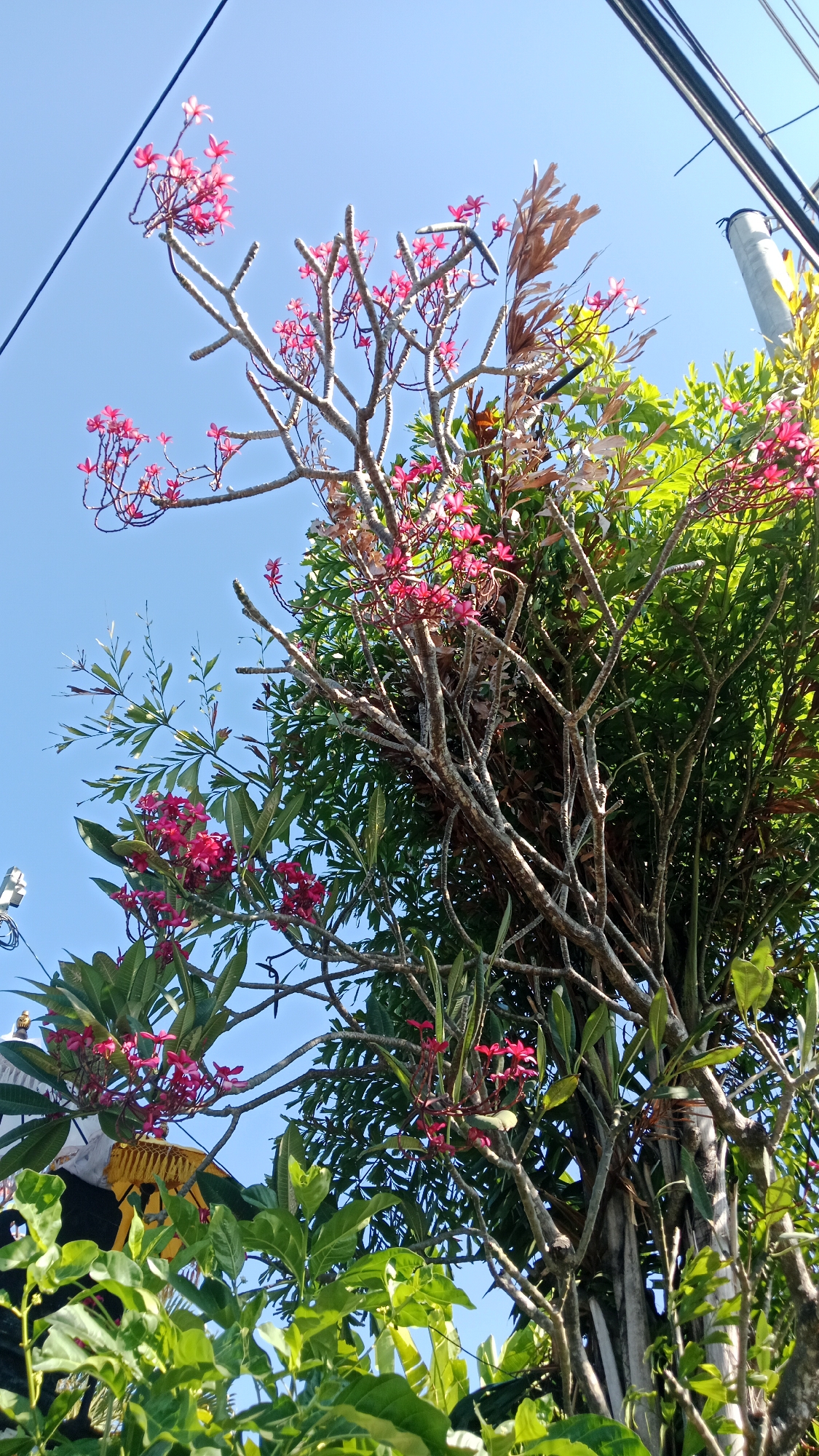 Kuta, Indonesia