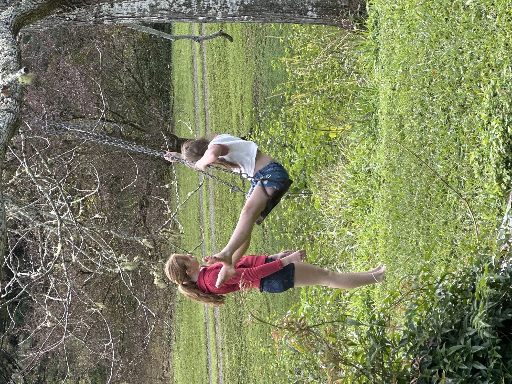 Relaxed rural morning in Thora: kids, cats, picnic, and kitchen prep