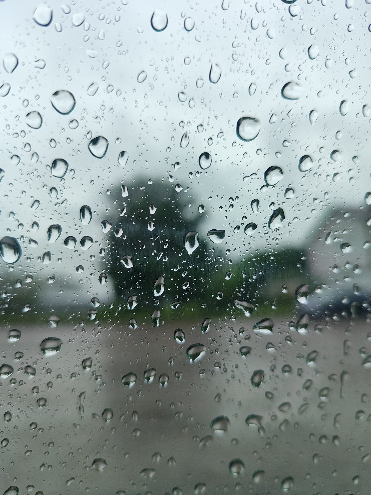 Rainy afternoon inside a parked Buick in Hrodna