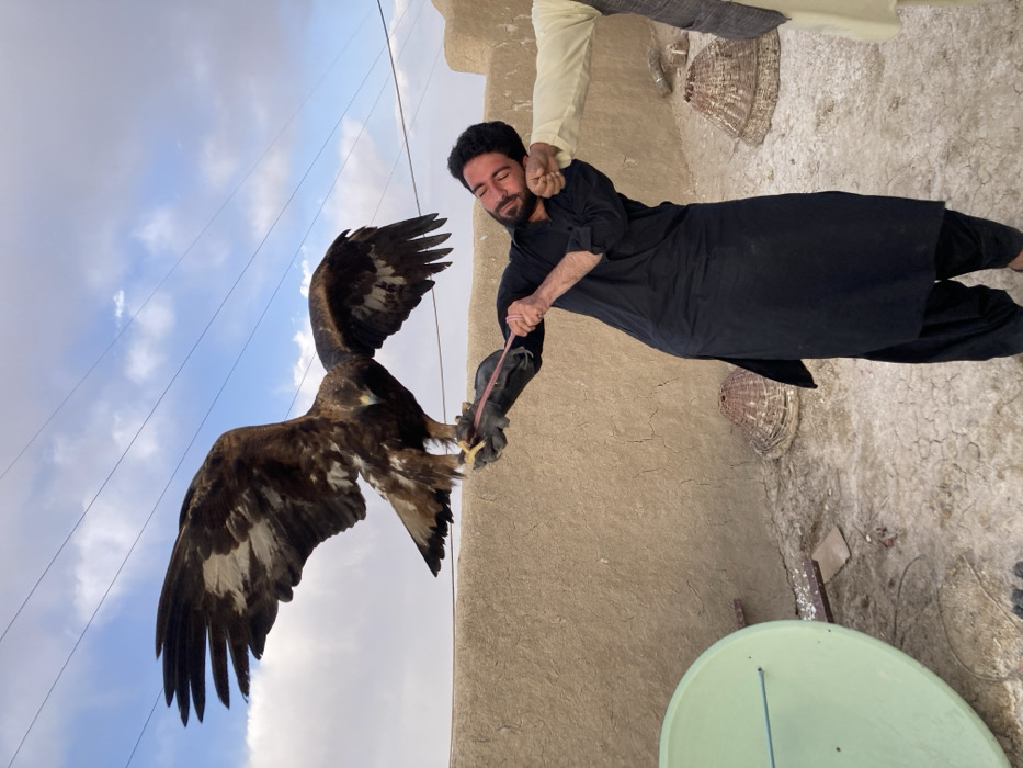 Bird handlers display raptors in Qilla Saifullah, Pakistan