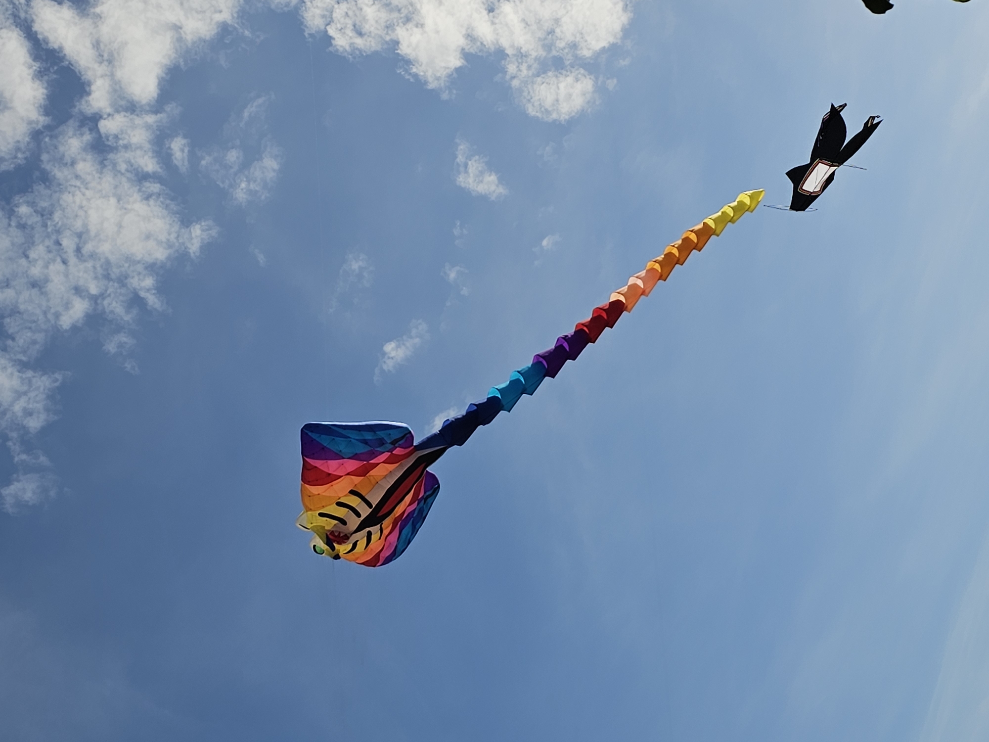 Giant inflatable kites fill the sky at Denpasar beach festival