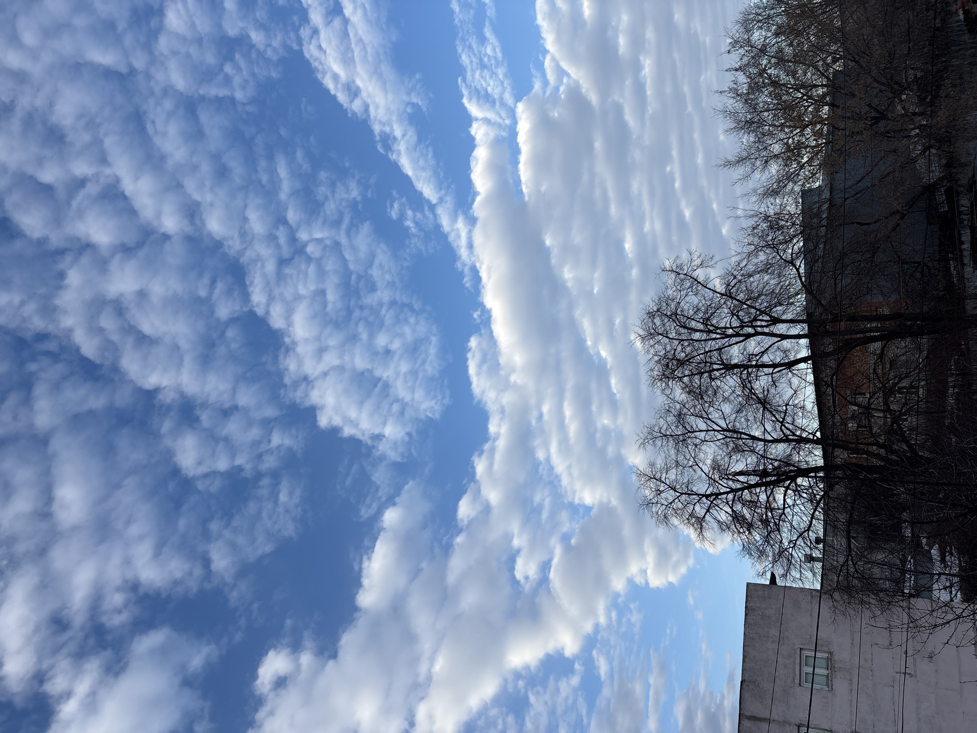 Spring transition documented across Ulyanovsk residential neighborhoods