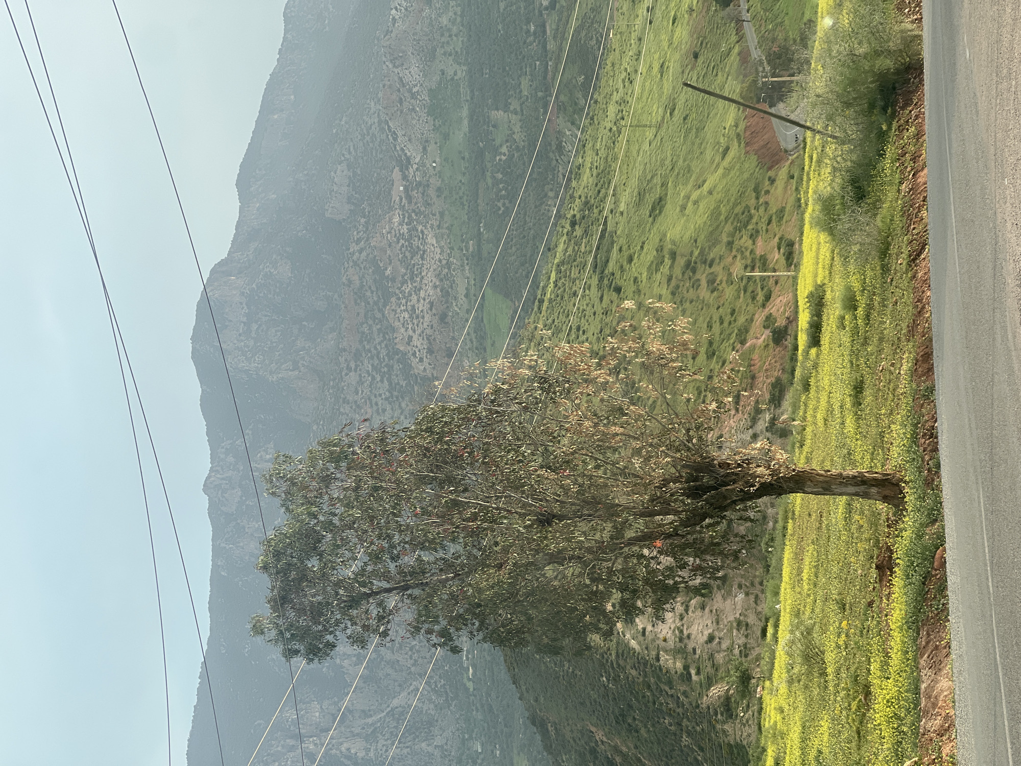 Traveler documents roadside stop in rural Morocco mountains