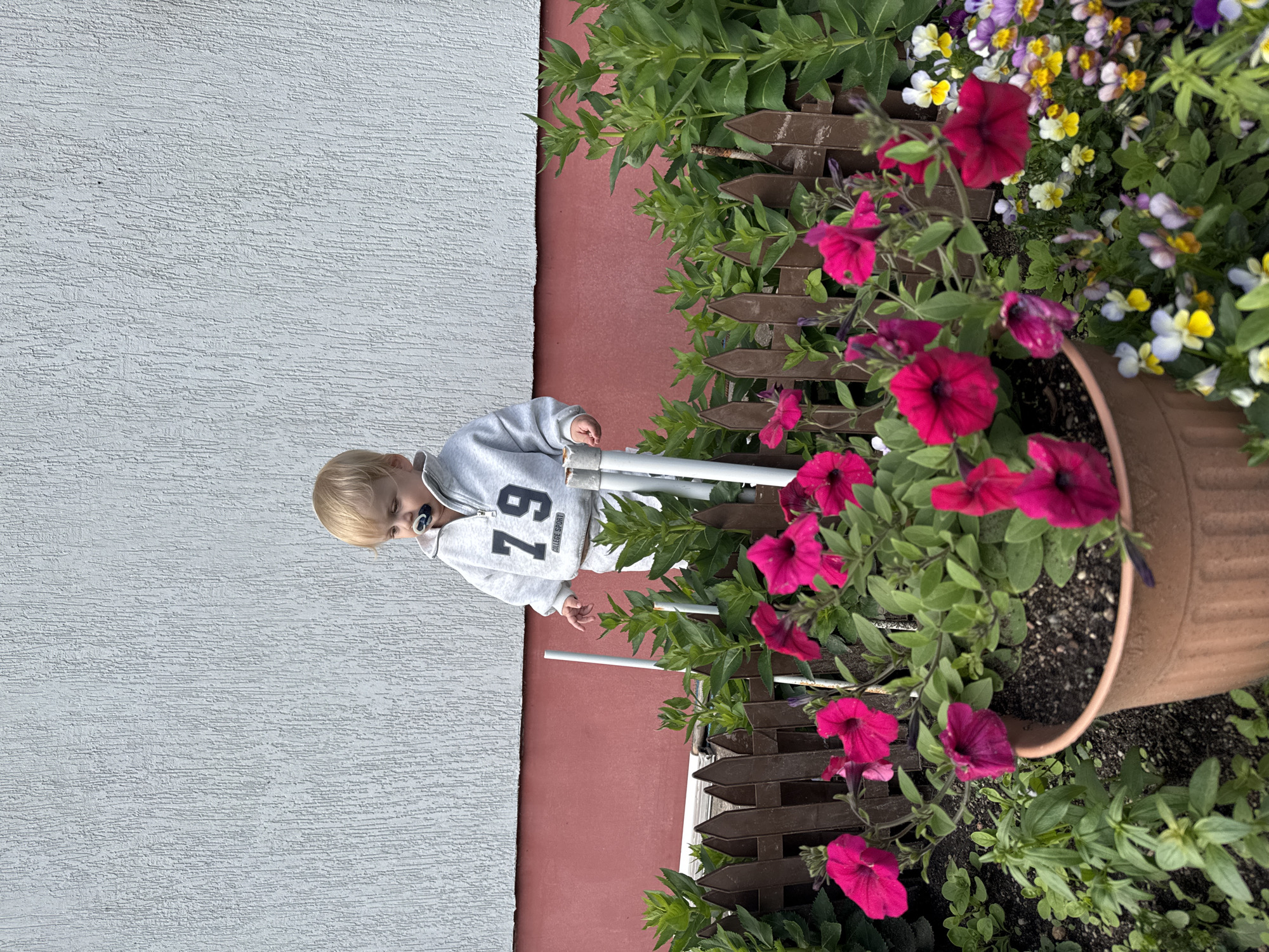Toddler's afternoon in a Gvardeysk garden, summer 2026
