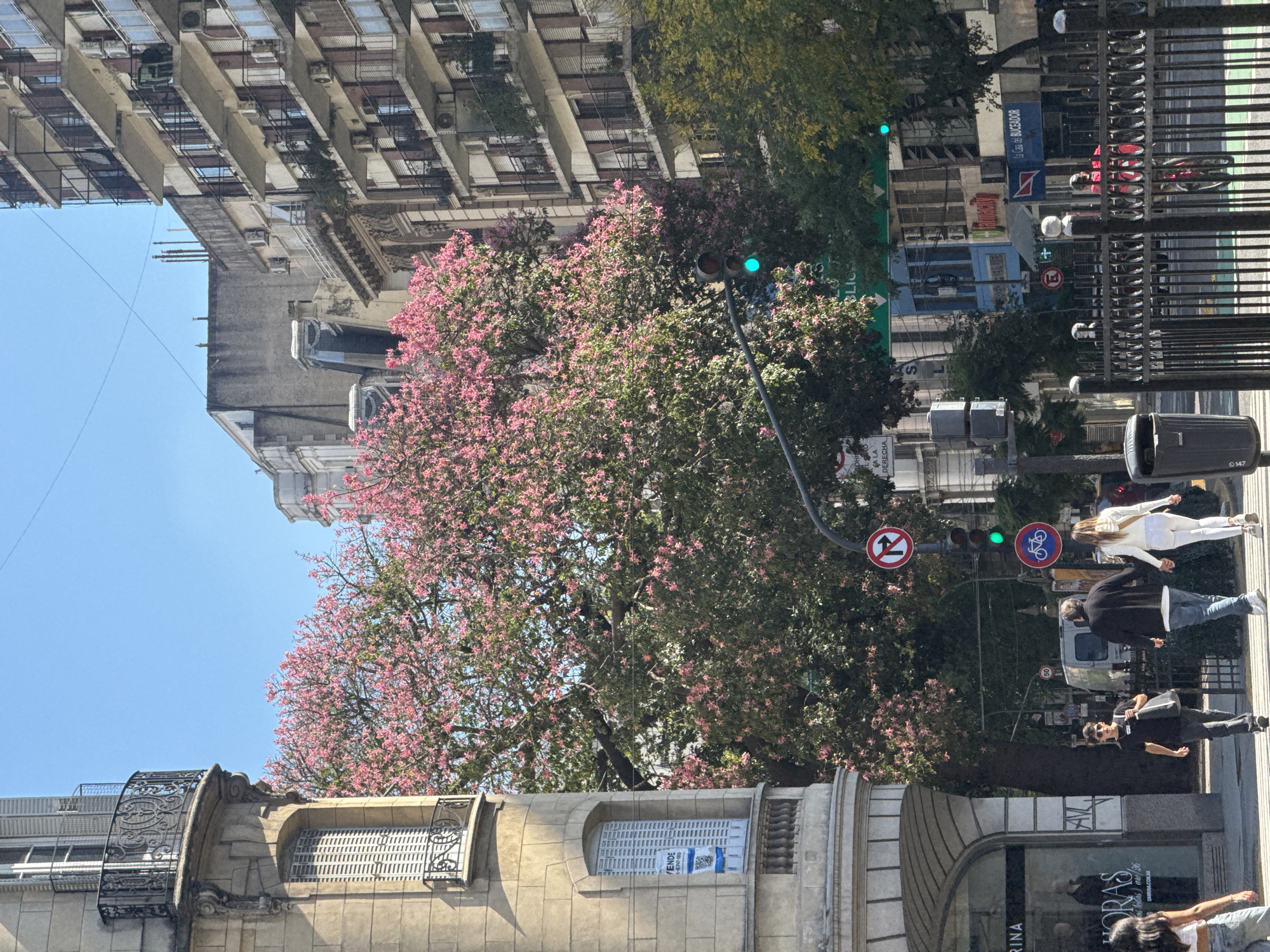 Street scene observed in Buenos Aires, Argentina