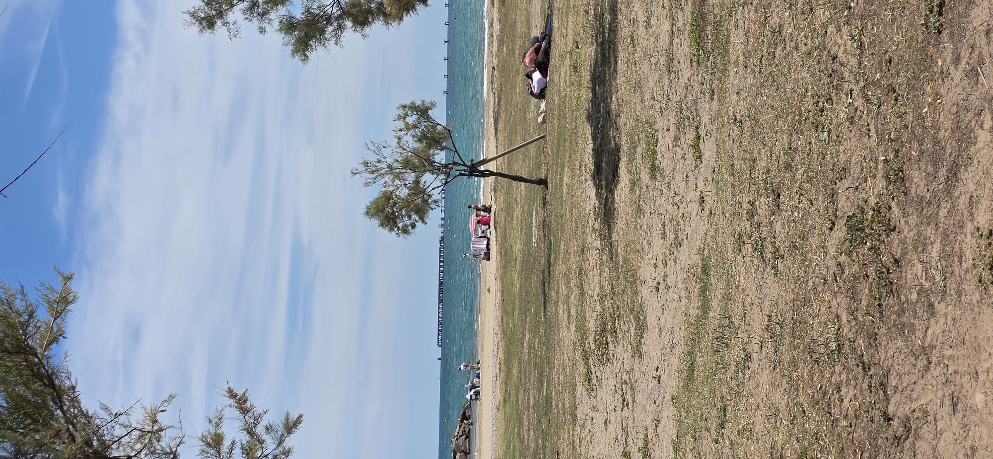 Afternoon life captured across Sagunto: parrots, beachgoers, cyclists