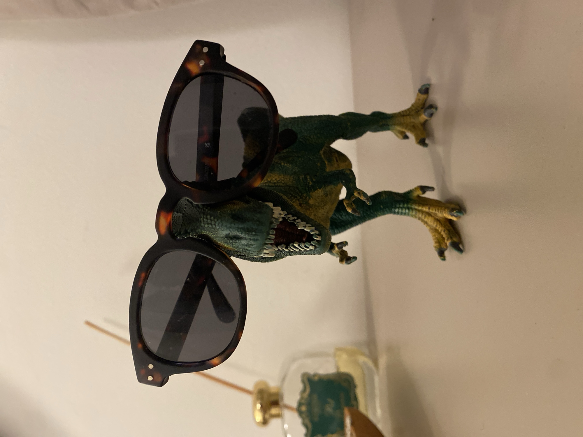 Toy dinosaur in sunglasses spotted in Lucerne