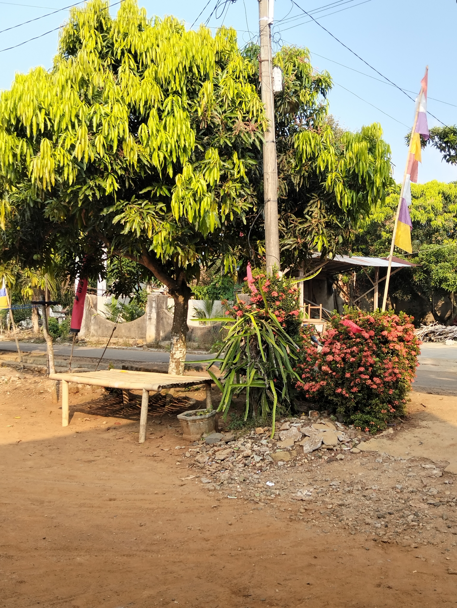 Morning moments along a dirt path in rural Tanjung Harta