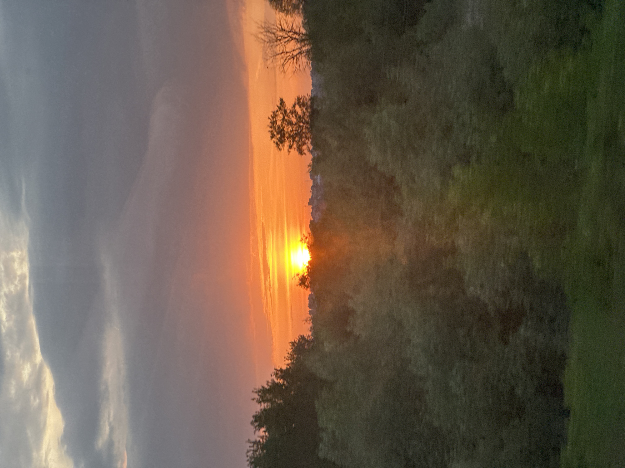 Sunset observed through trees in Vladimir, Russia