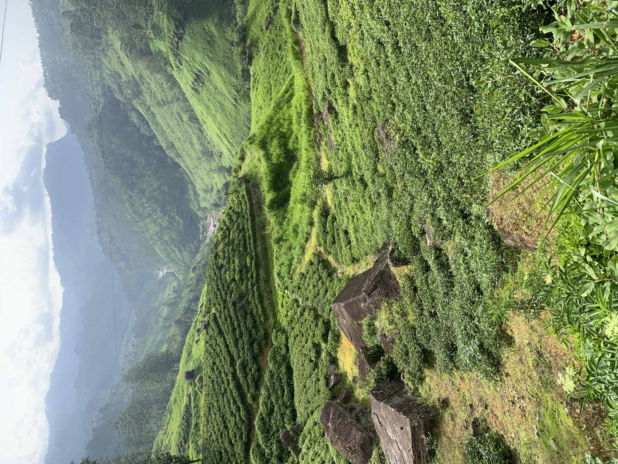 Devon Falls and tea-covered highlands in Sri Lanka's hill country