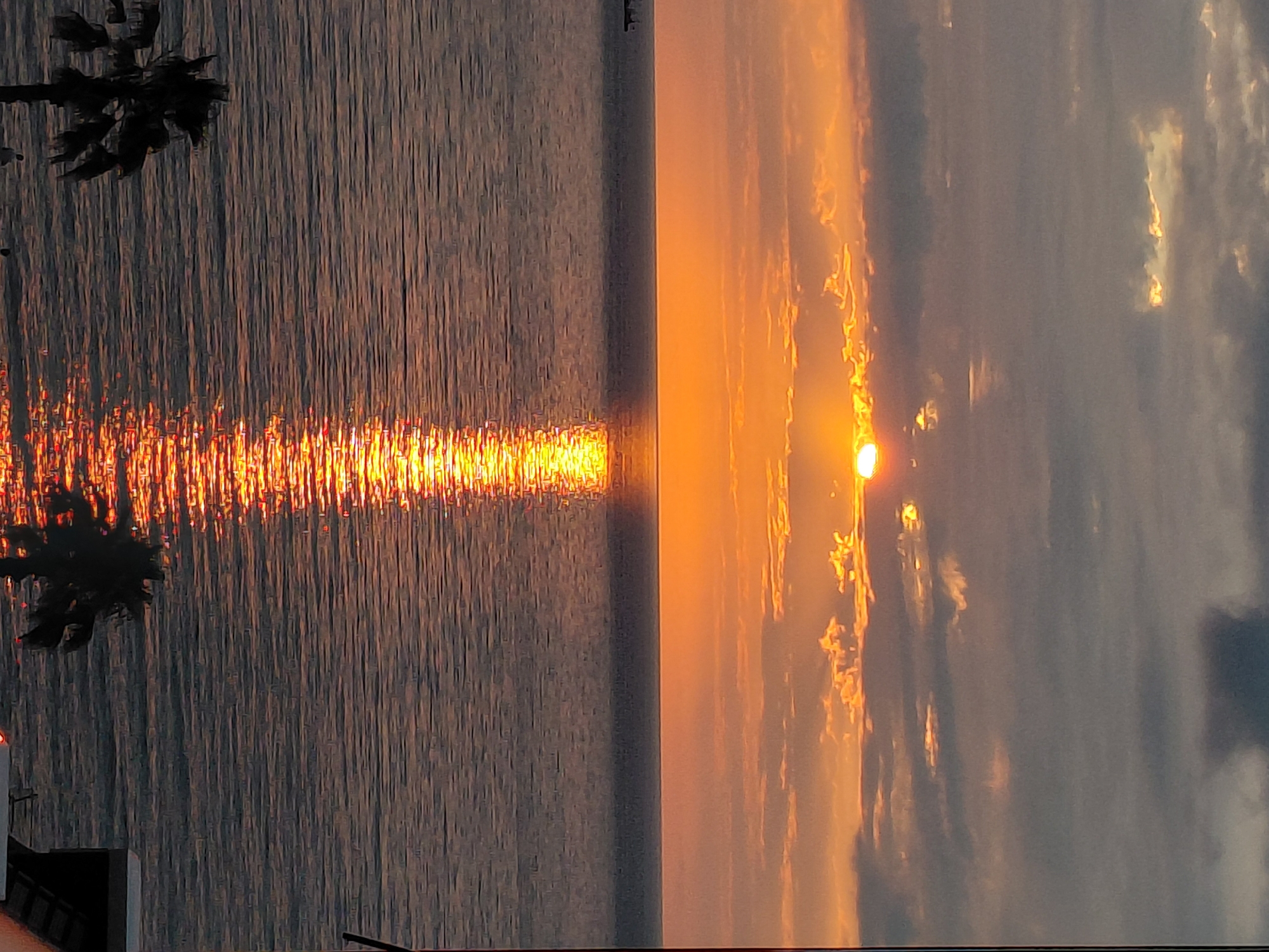 Ocean sunset framed by city buildings, golden light on water
