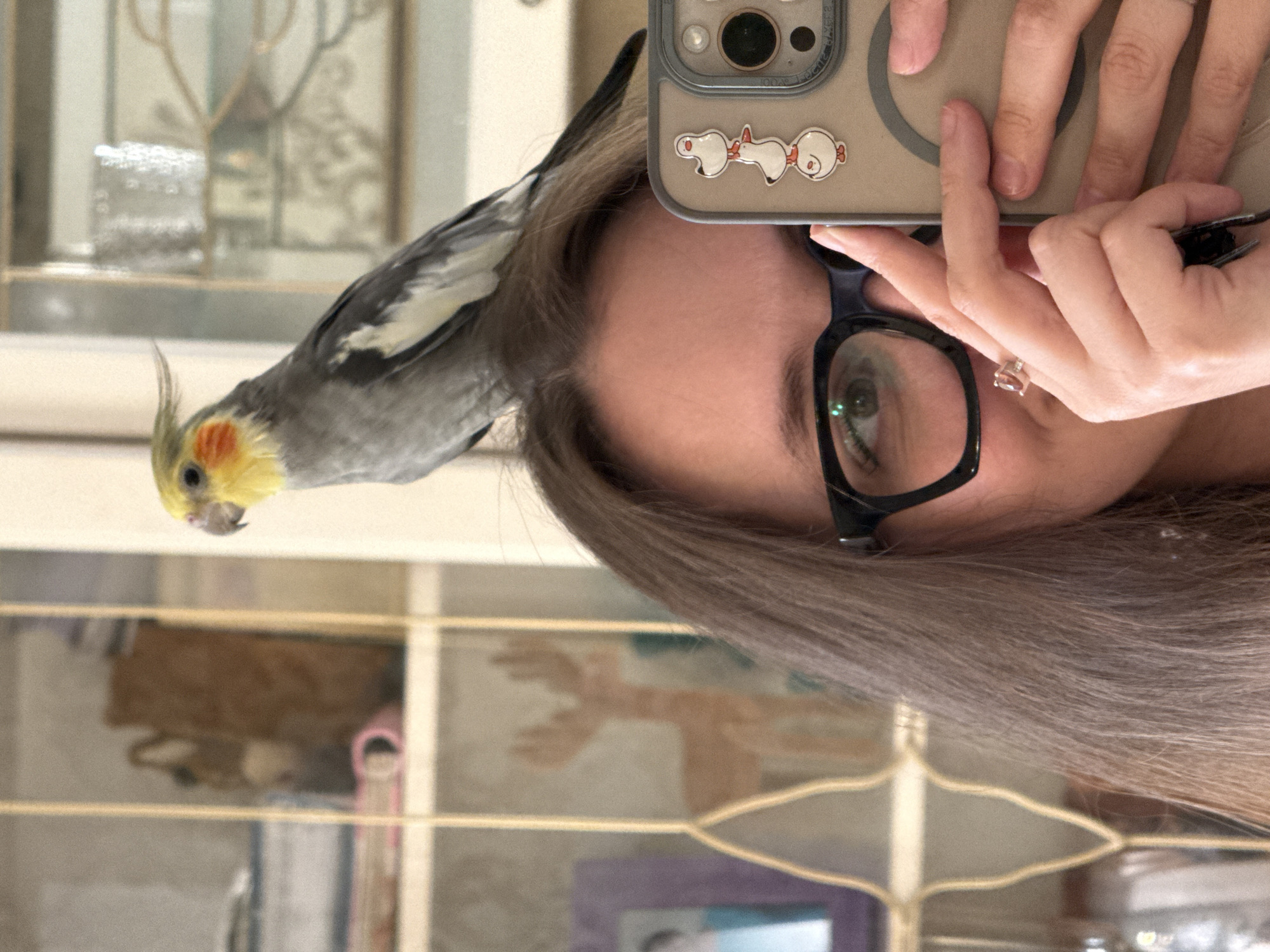 Cockatiel, pug, and cat — a pet-filled afternoon in Chaikovsky