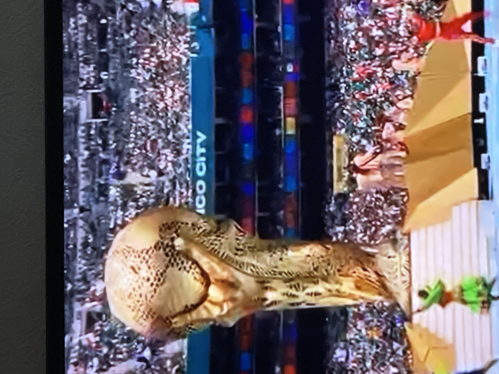 FIFA World Cup ceremony performances draw crowds to Moscow stadium