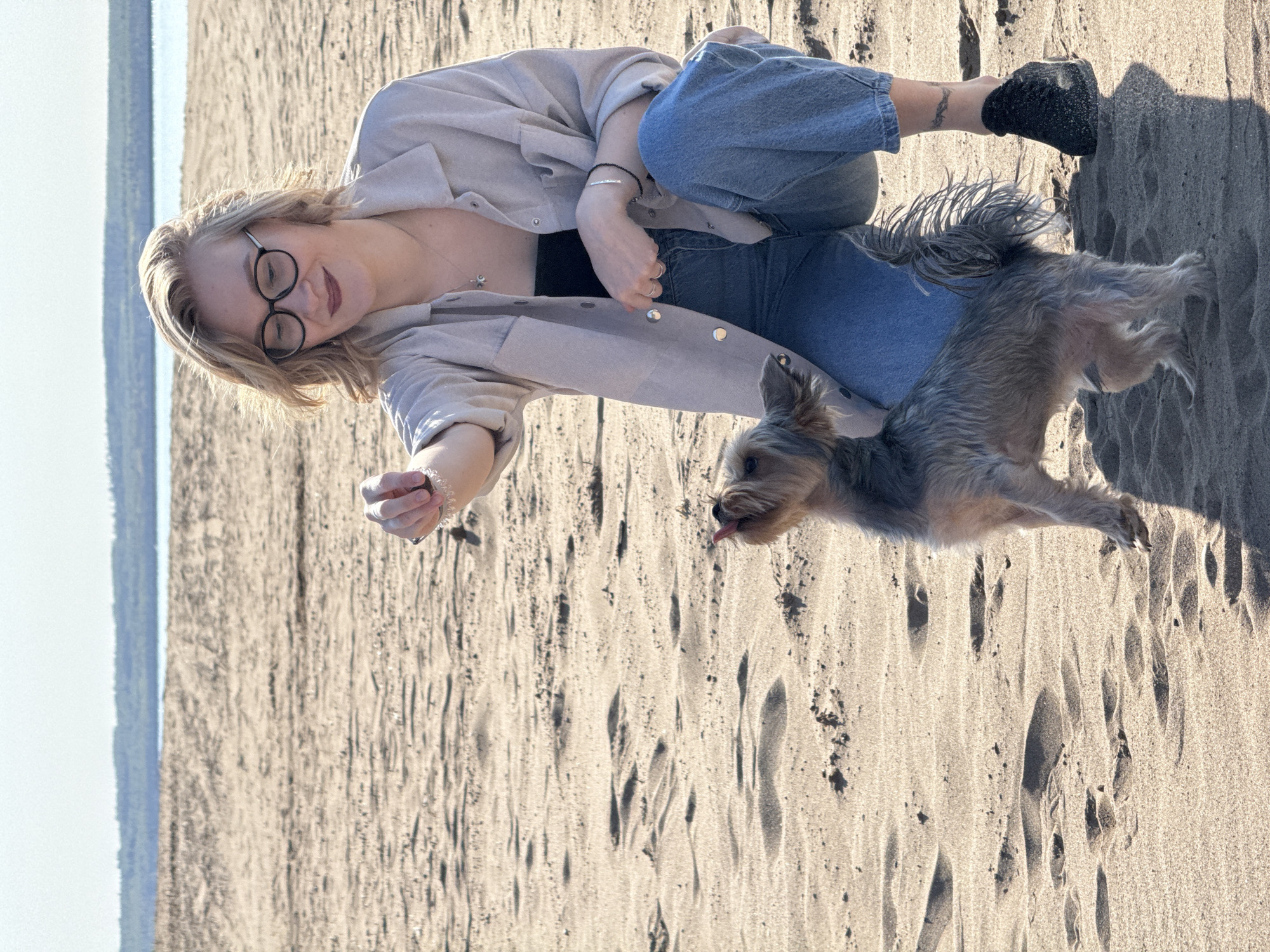 Person and Yorkshire Terrier interact on beach in Noviy