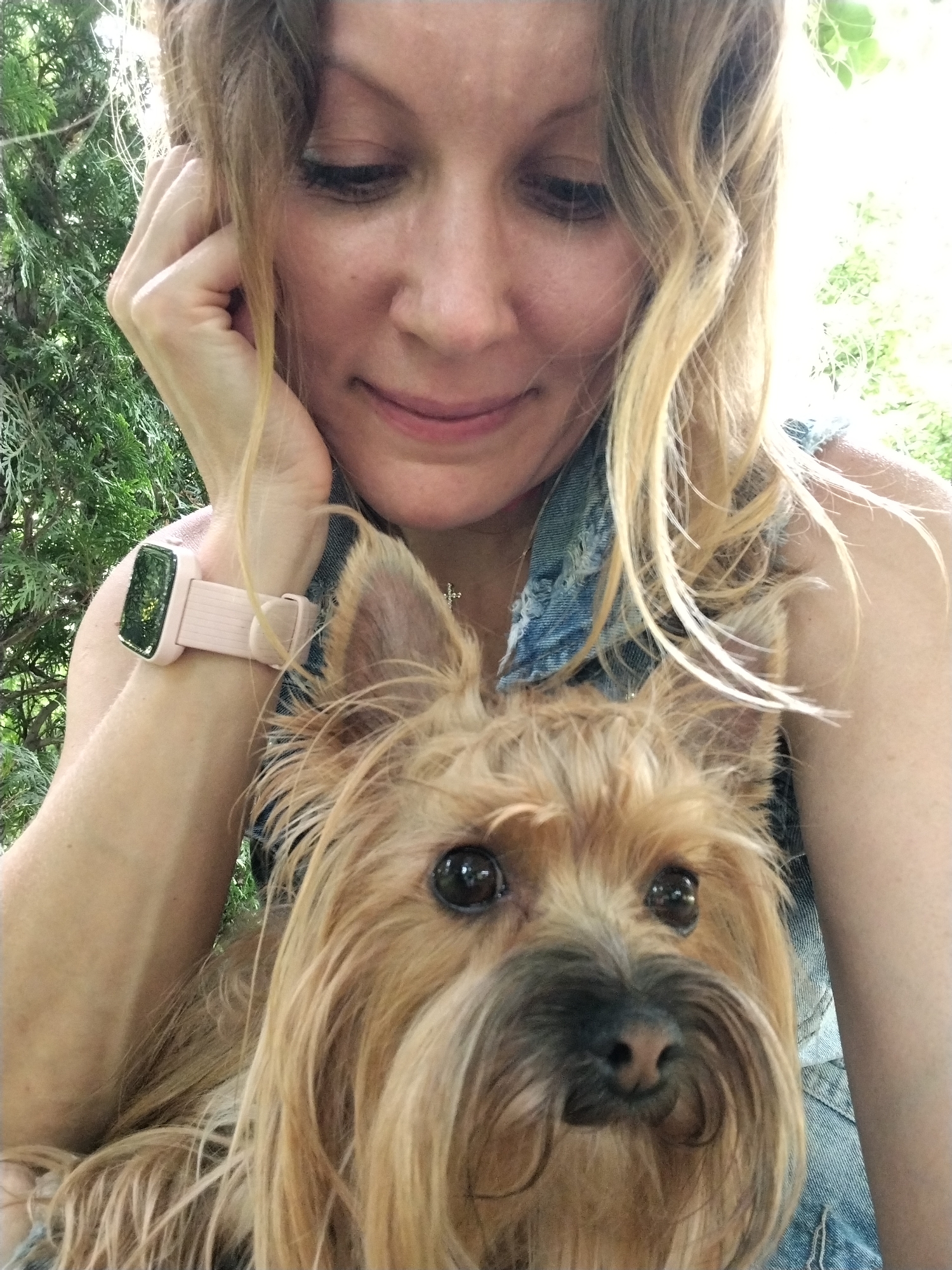Afternoon dog walk documented in Krasnodar park and neighborhood
