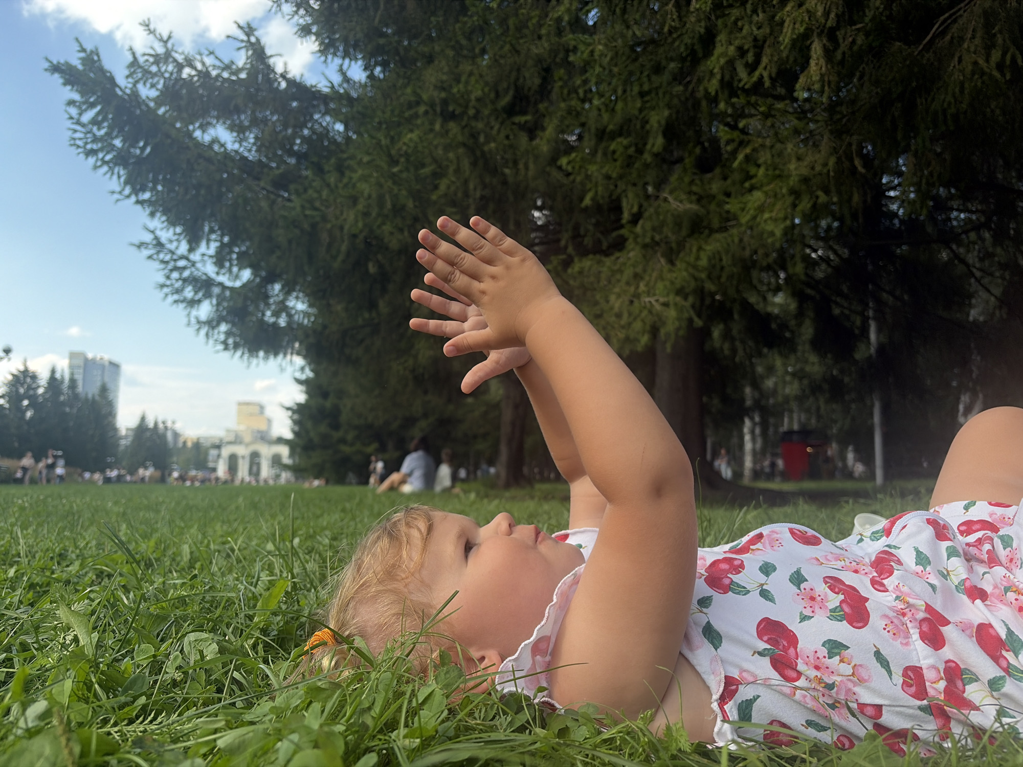 Lazy summer afternoon in the grass, Yekaterinburg