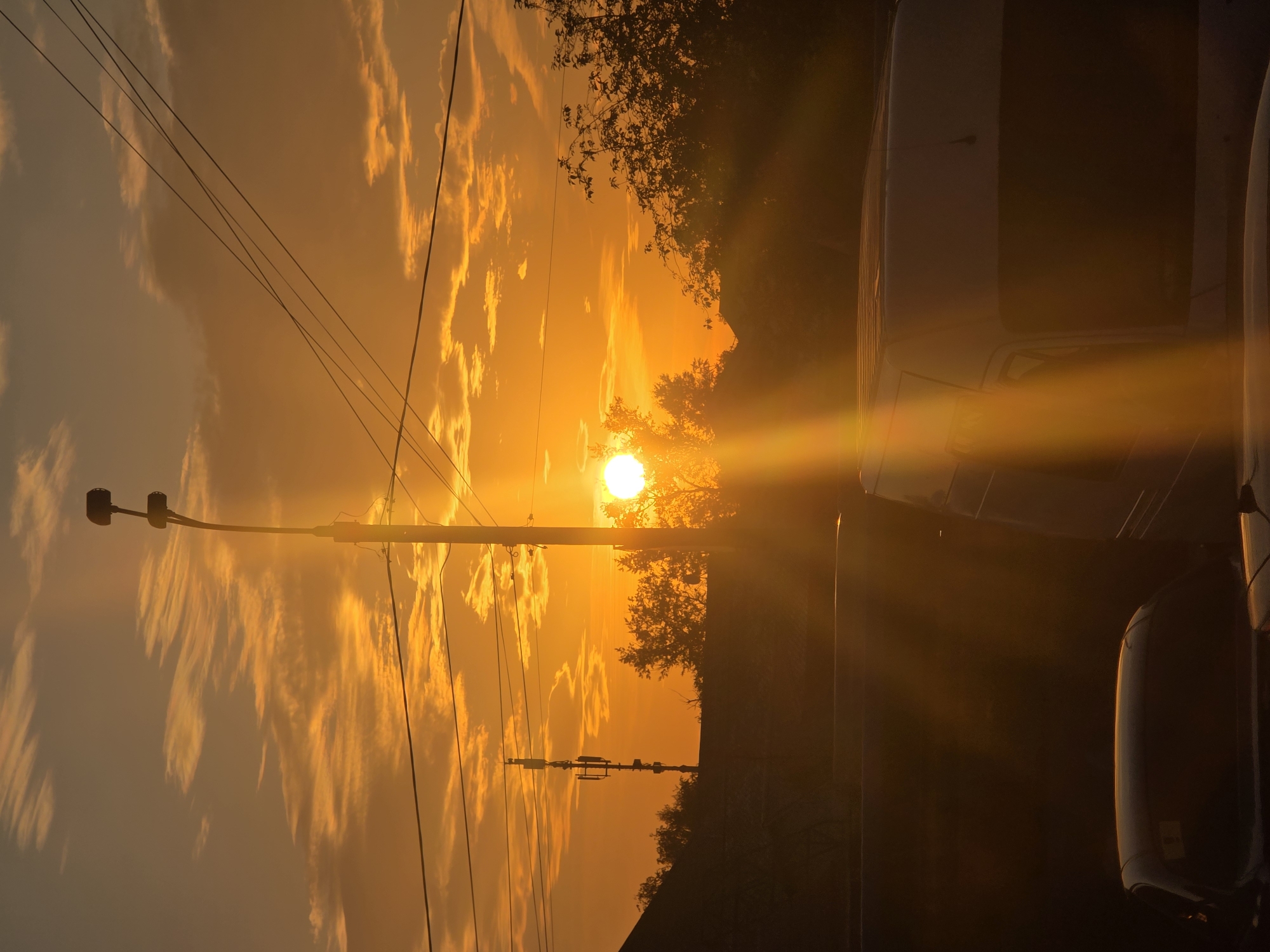 Urban scenes documented across city area during afternoon hours