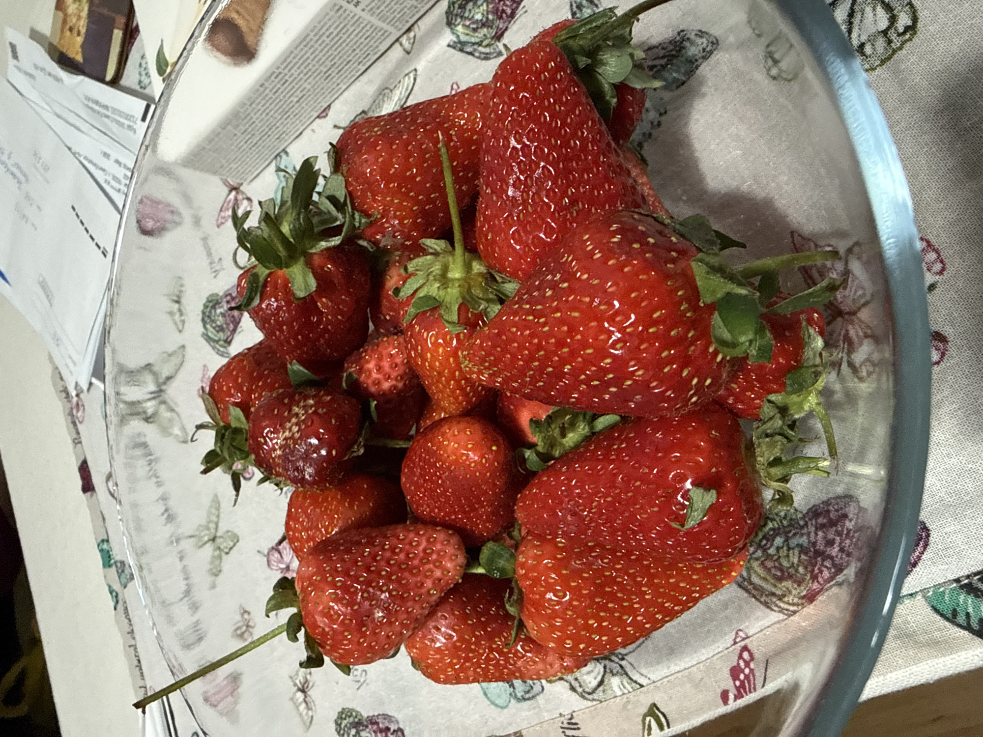 Evening scenes of strawberries and urban life in Saint Petersburg
