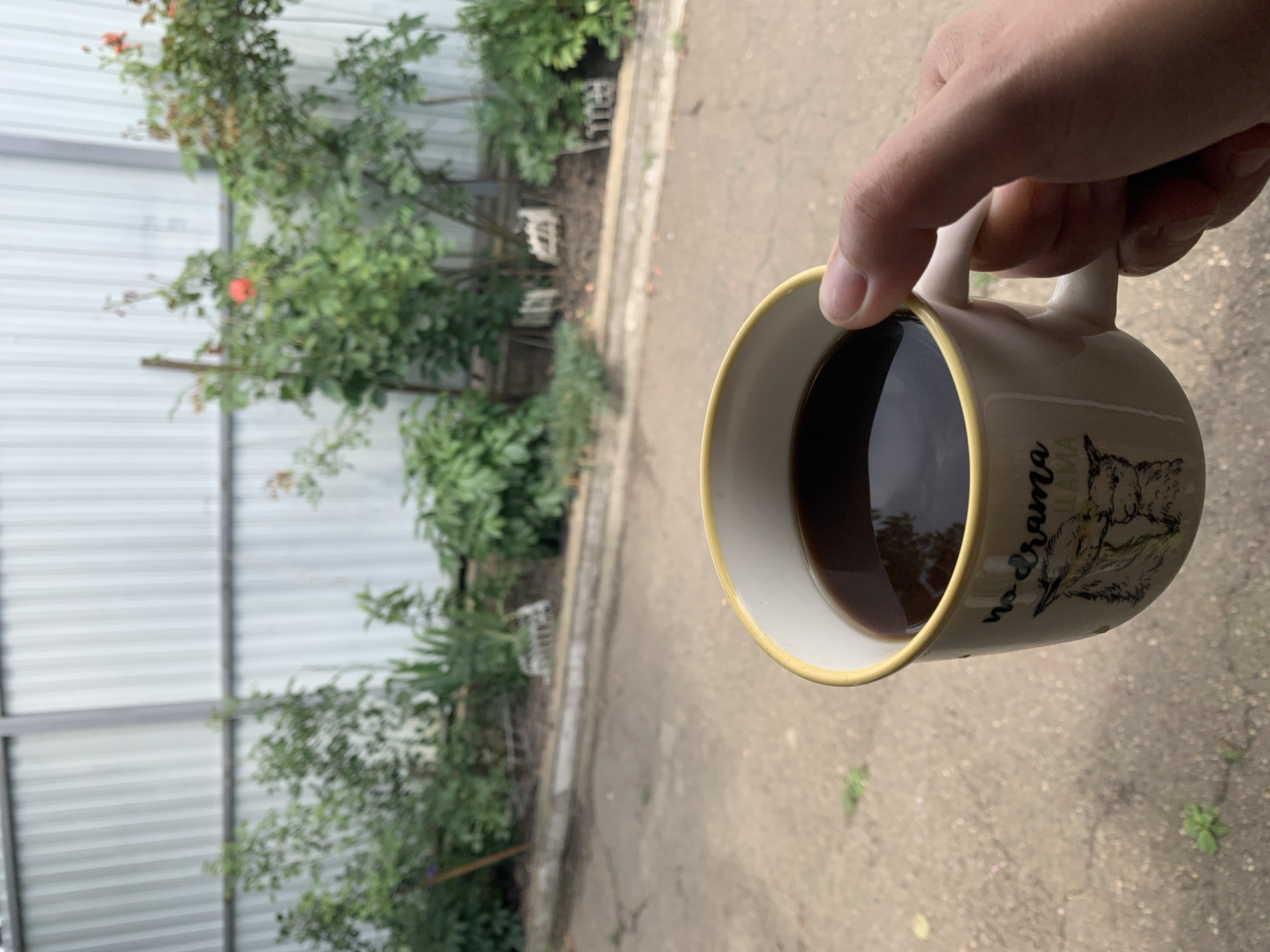 Slow morning ritual: coffee, skincare, and a great-day send-off