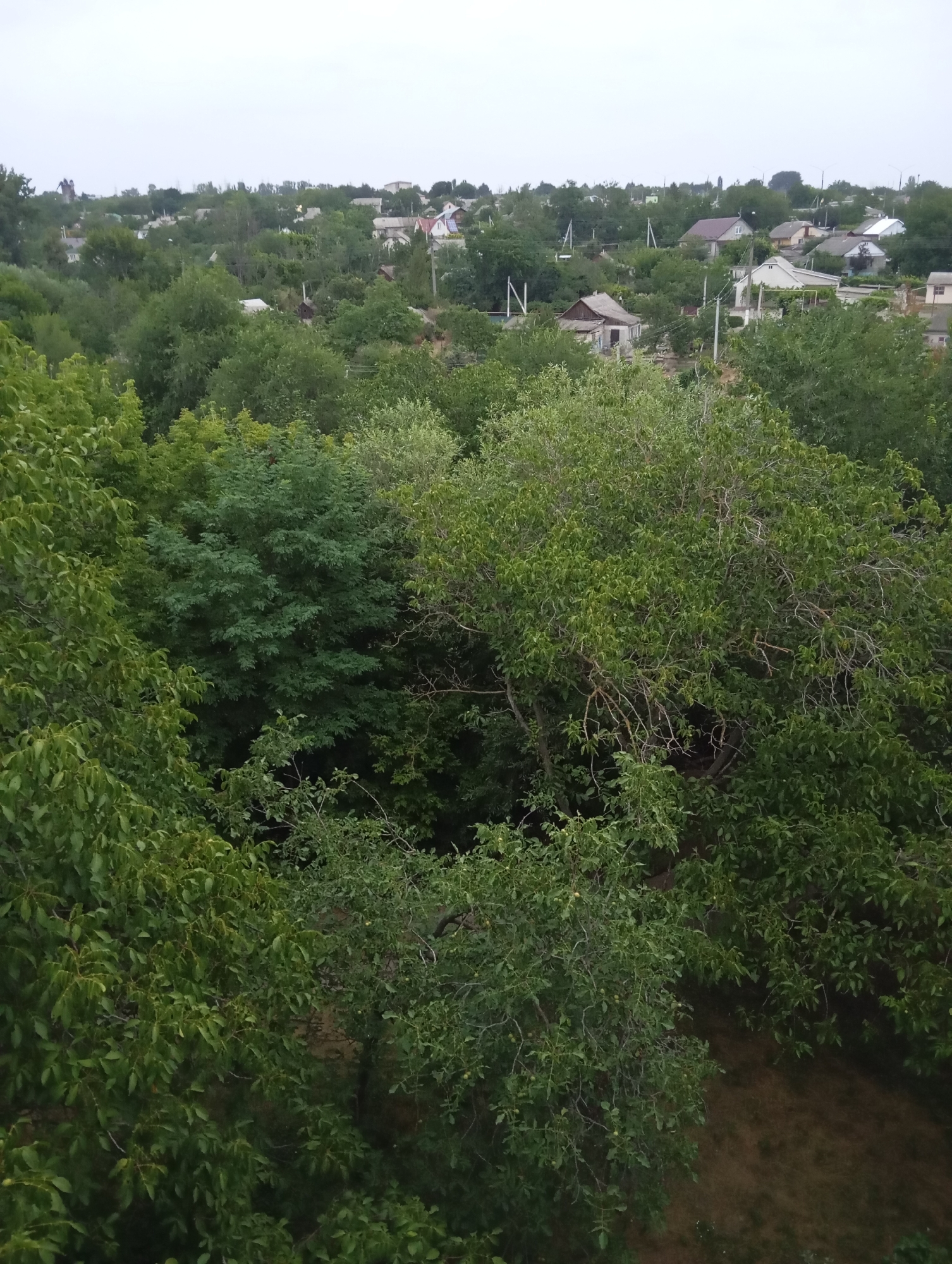 Snapshots from Dubăsari: town views, river at dusk, and a few odd additions