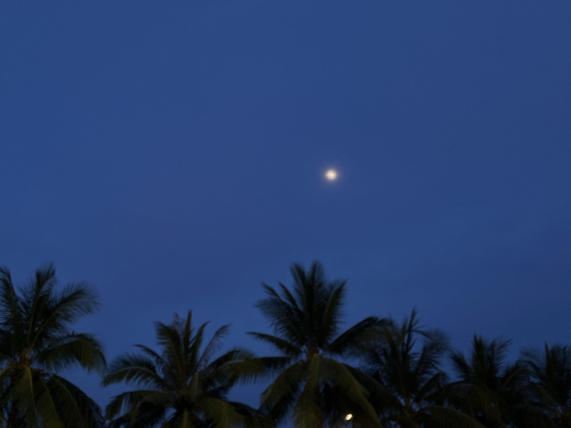 Evening snapshots captured across Đà Nẵng's urban landscape